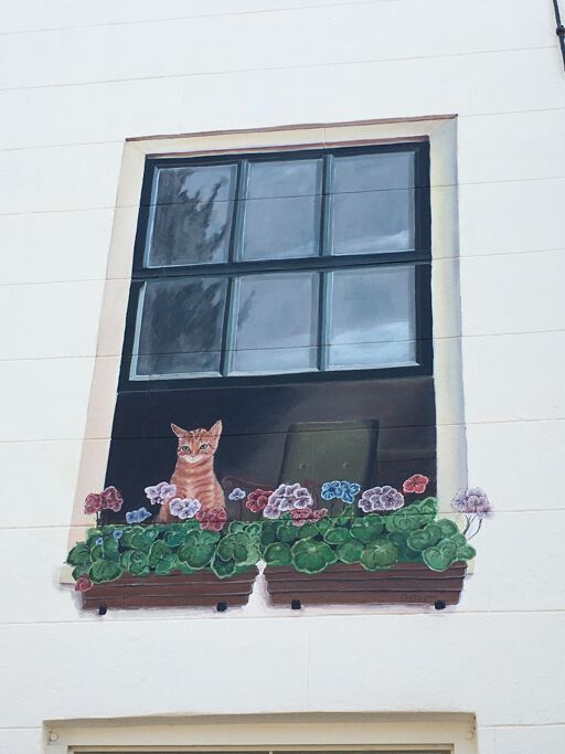 Cat in open window