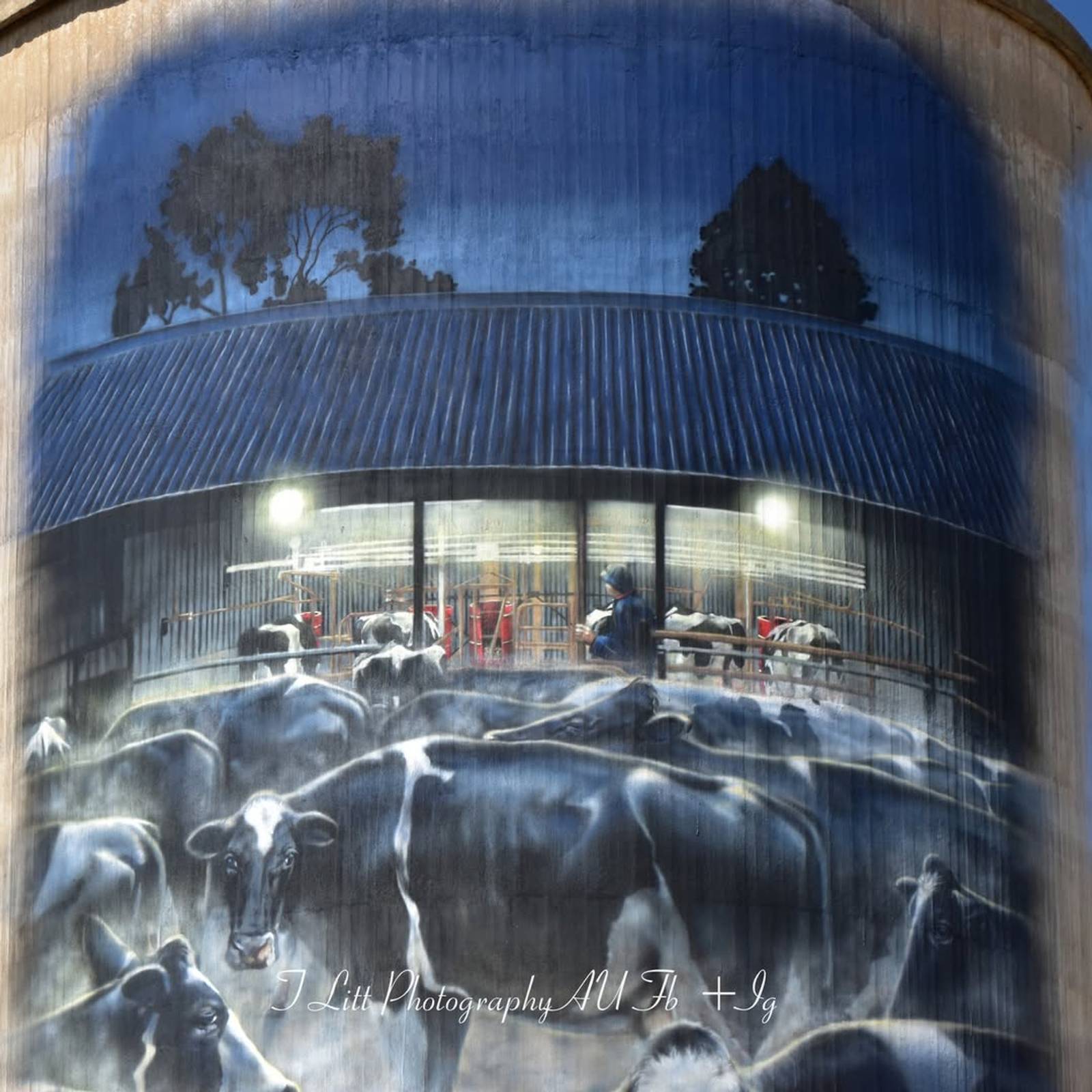 Tim Bowtell—Waaia Silo Art - Silo 1