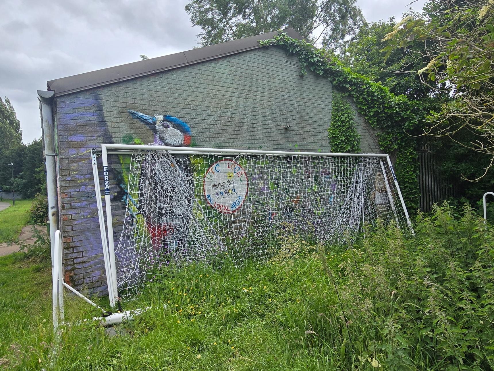 N4T4—Morgan Hehir Wall