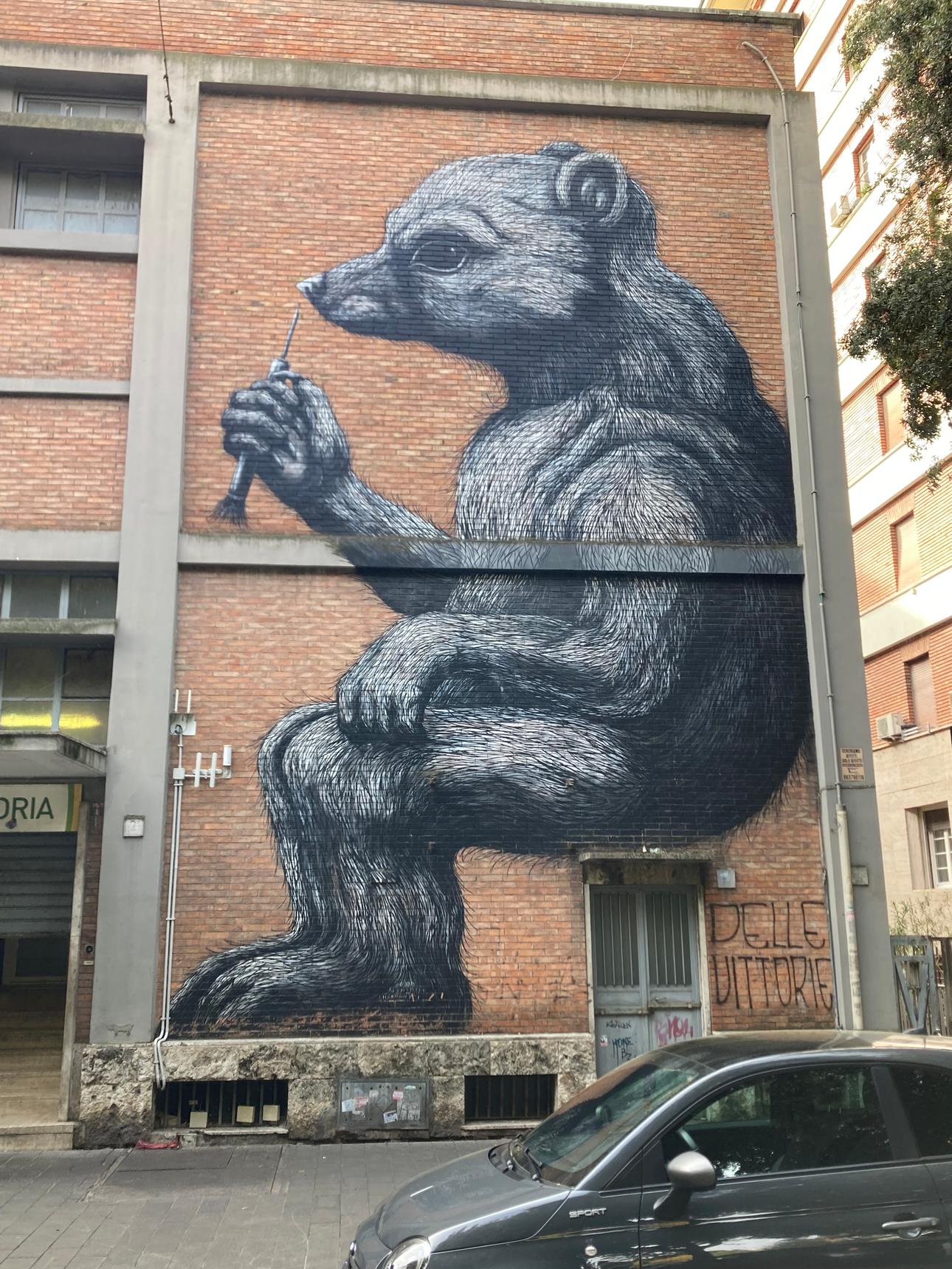 ROA—Daniza