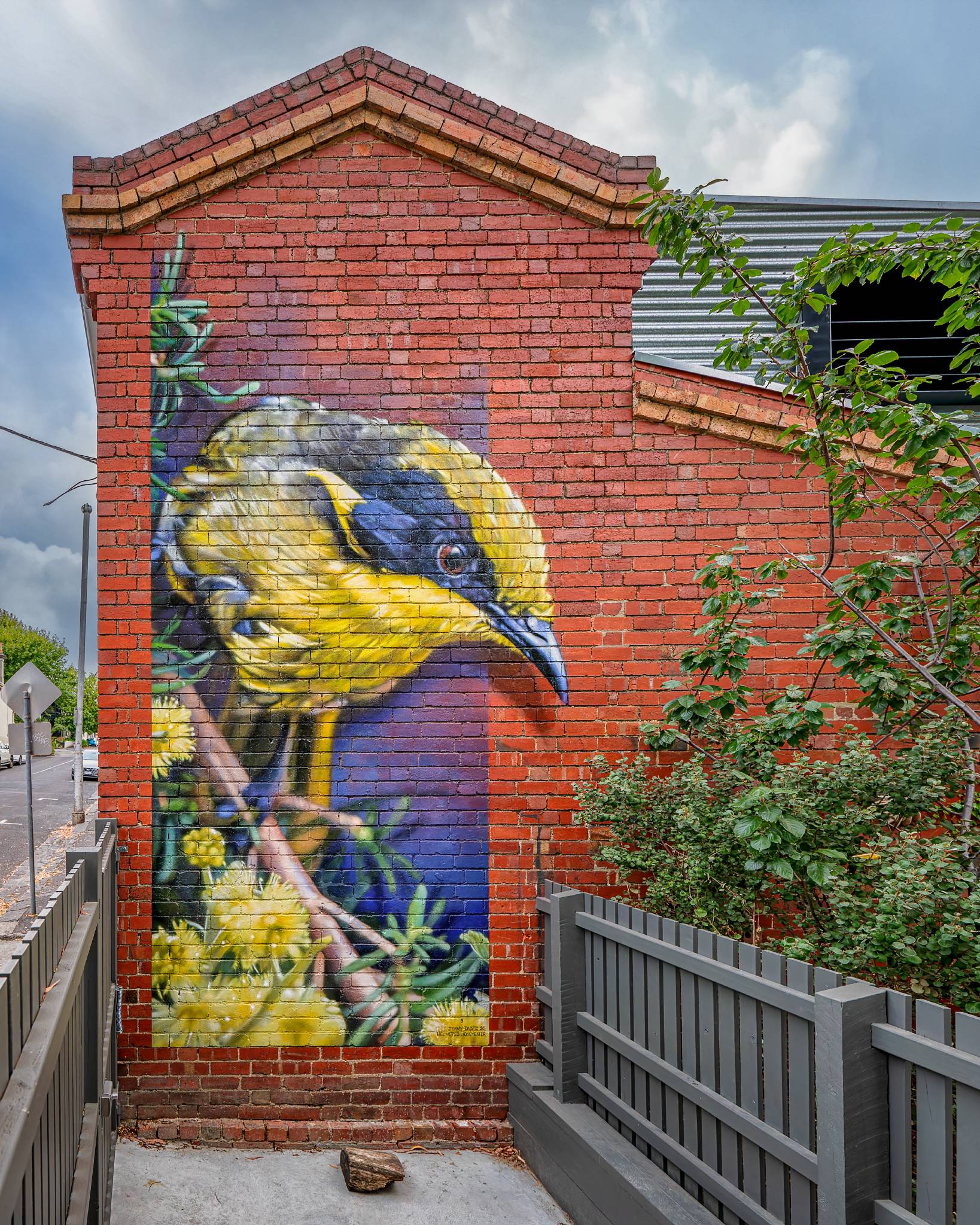 Dvate&mdash;Helmeted Honeyeater and Golden Wattle