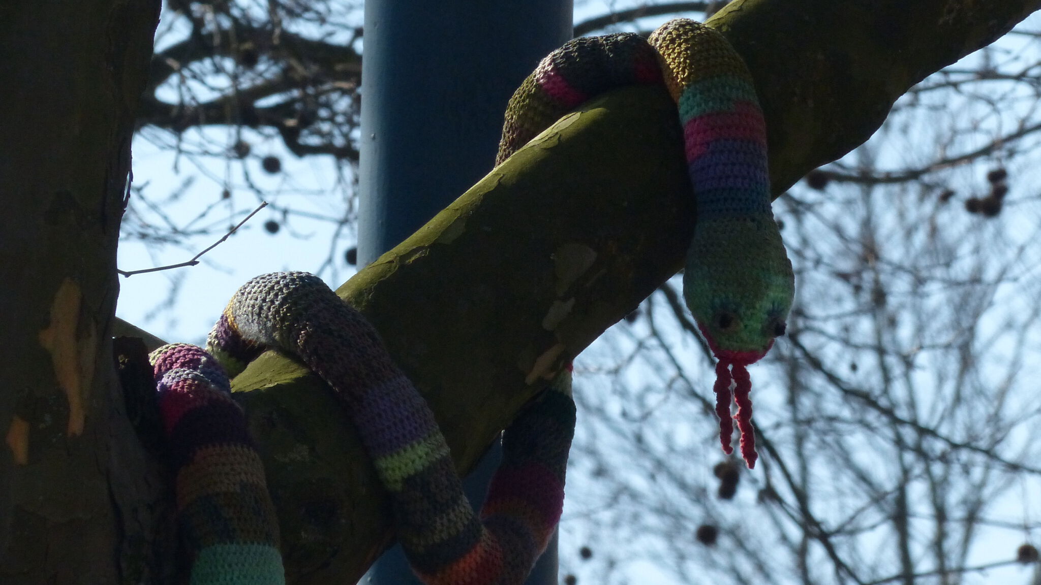 Frohnhausen Guerilla Knitters&mdash;Untitled