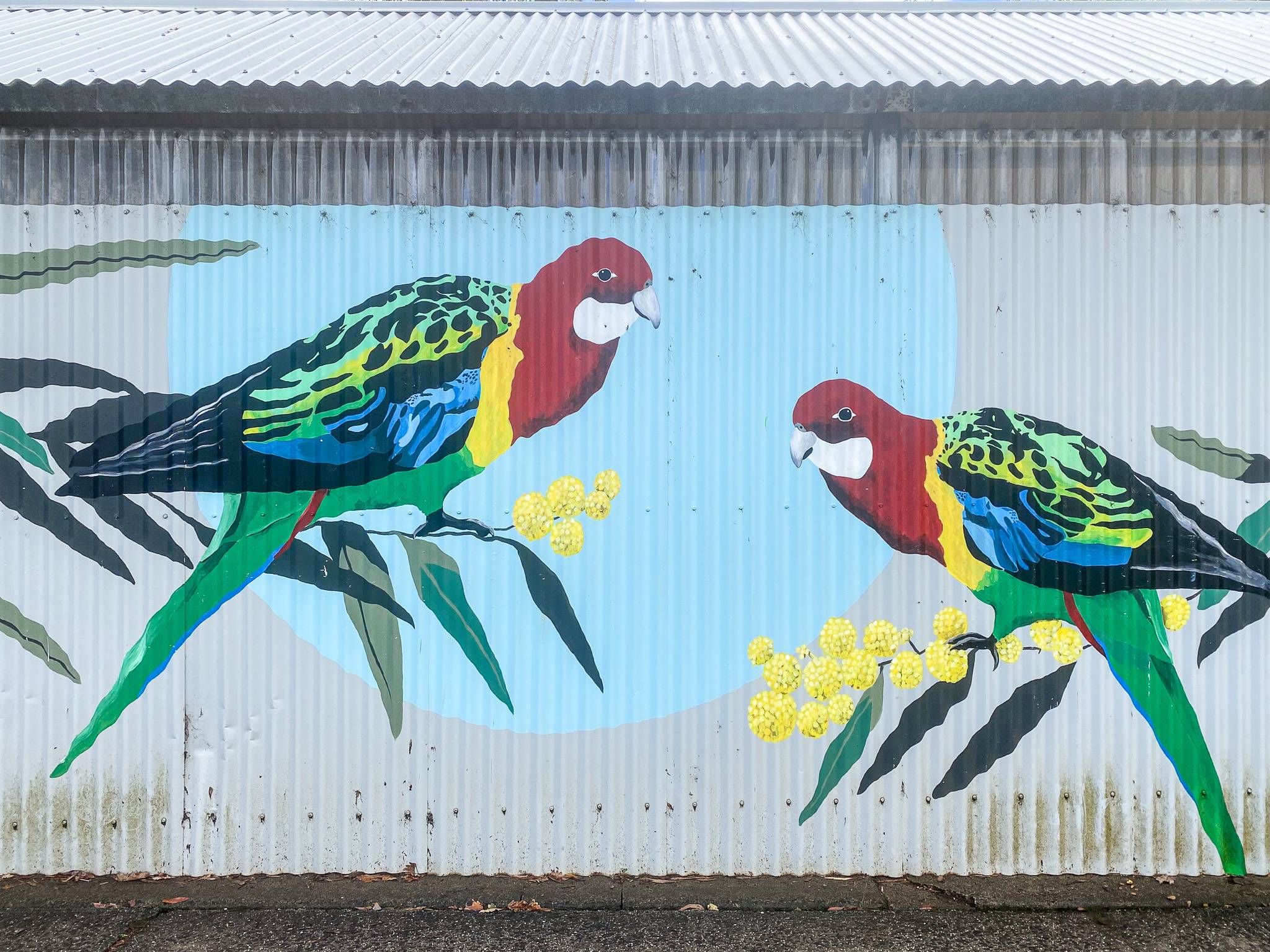 Melanie Caple&mdash;Leongatha Primary School Mural