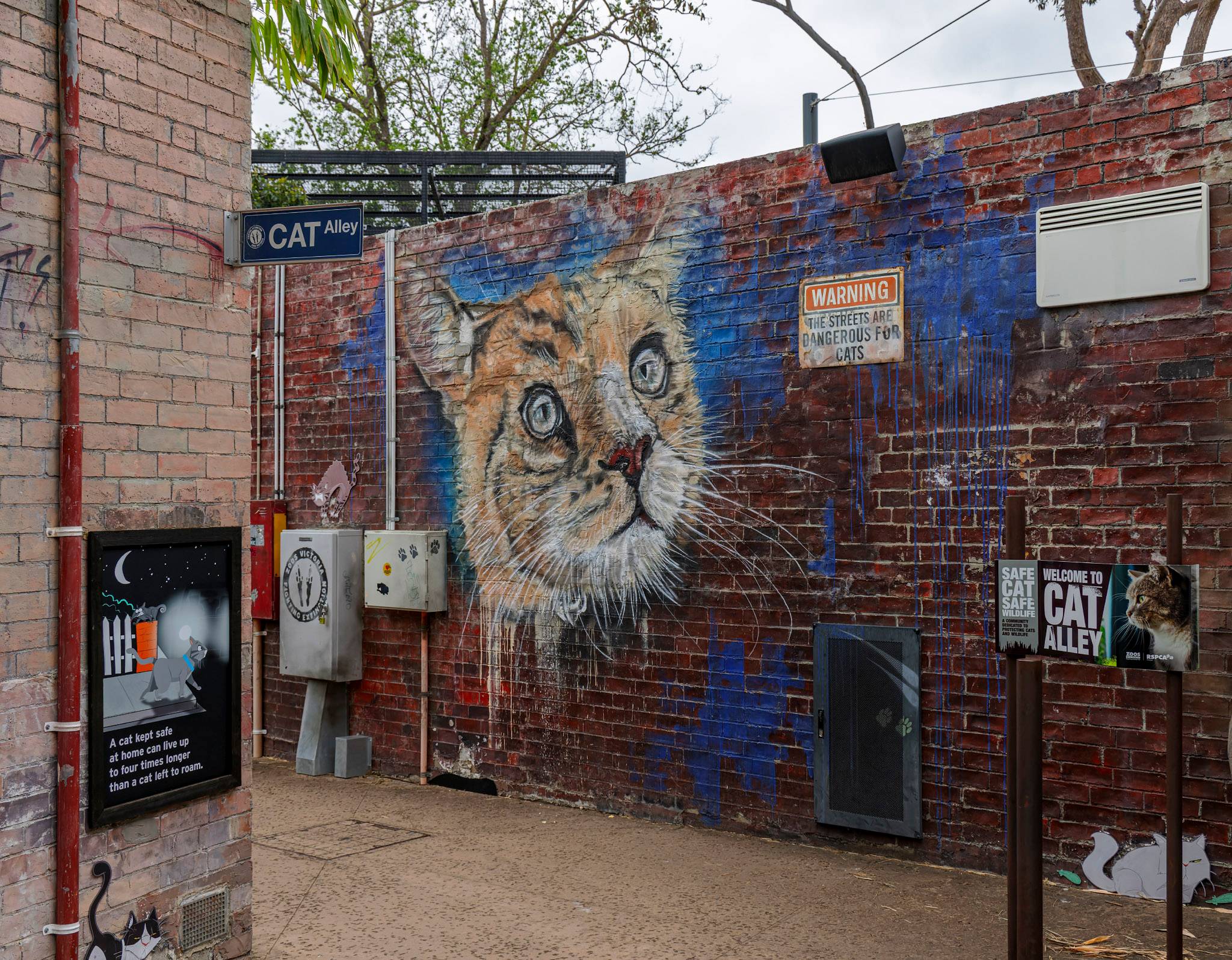 Adnate&mdash;Carnivores Trail (Cat Alley)