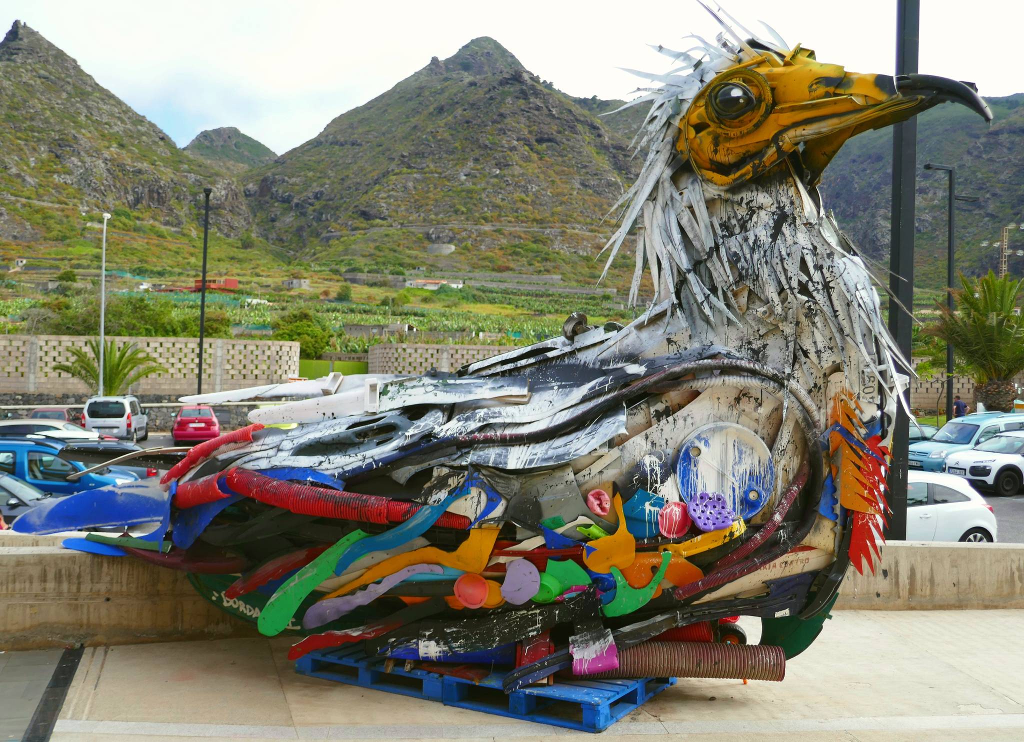 Bordalo ll&mdash;Half Guirre Canario