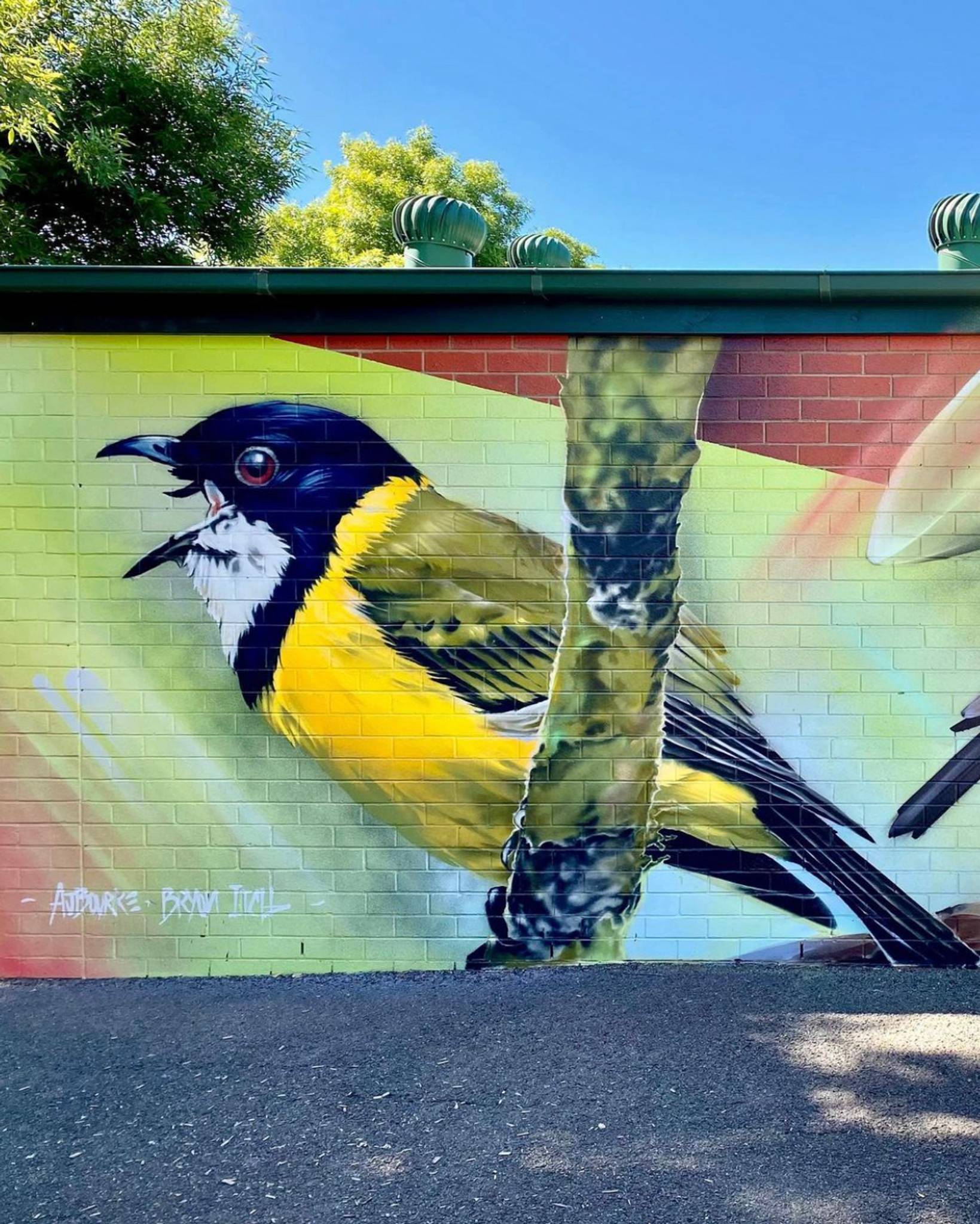 Bryan Itch, Andrew J Bourke&mdash;Scarlet Robin, Superb Fairywren and Golden Whistler