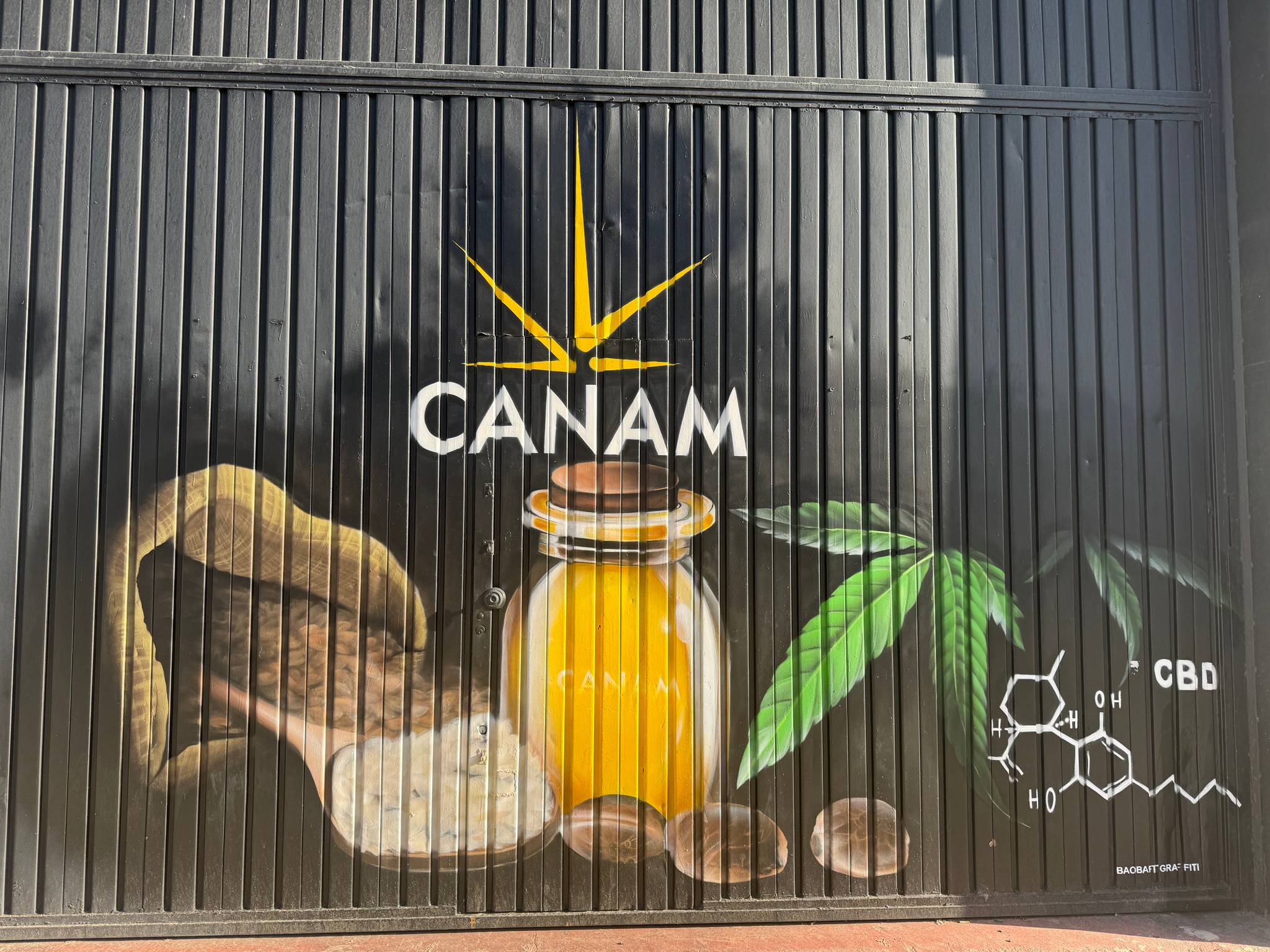 Baobartgraffiti&mdash;Canam