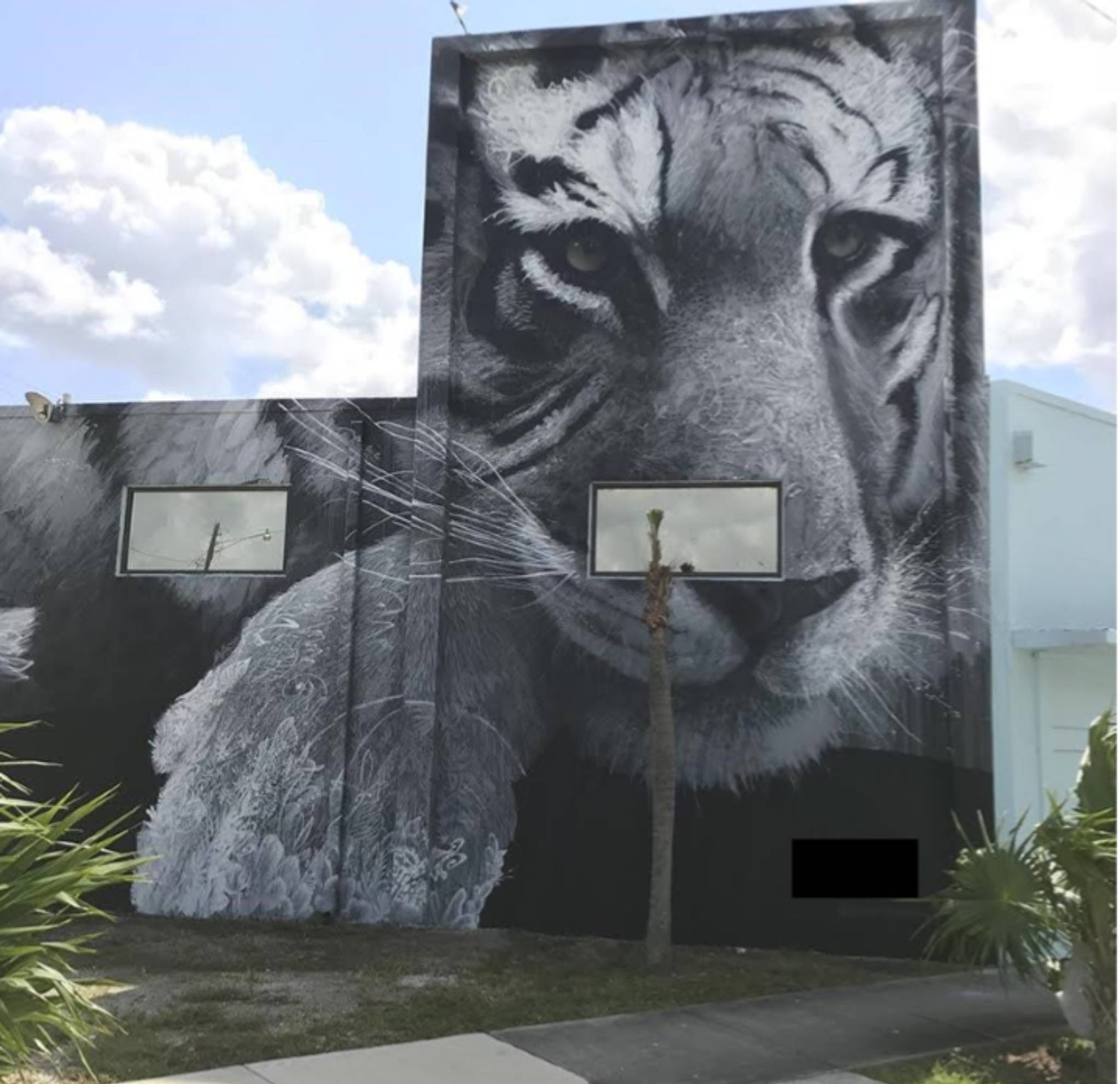 Ernesto Maranje&mdash;"Tiger"