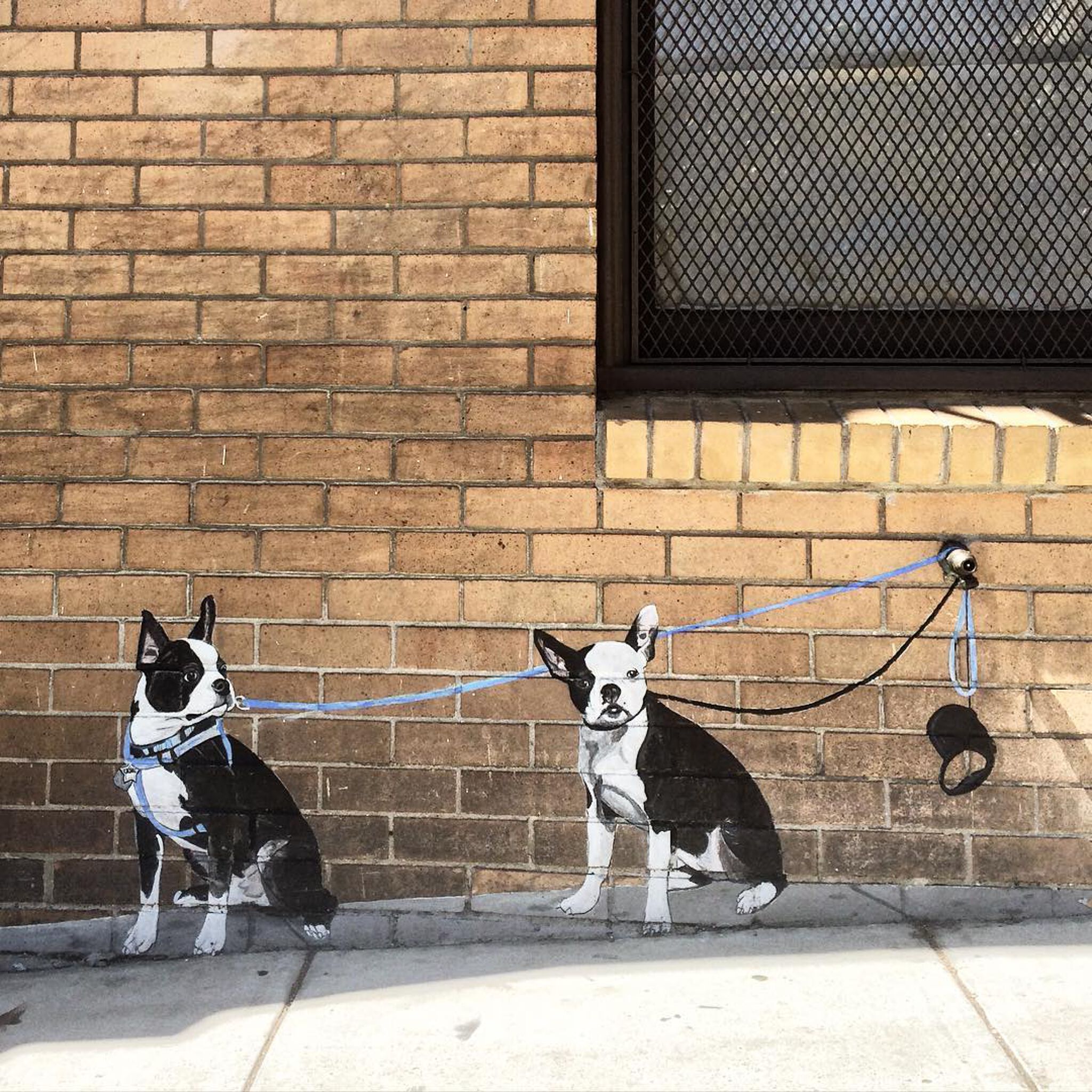 Bill Weber&mdash;City Dogs