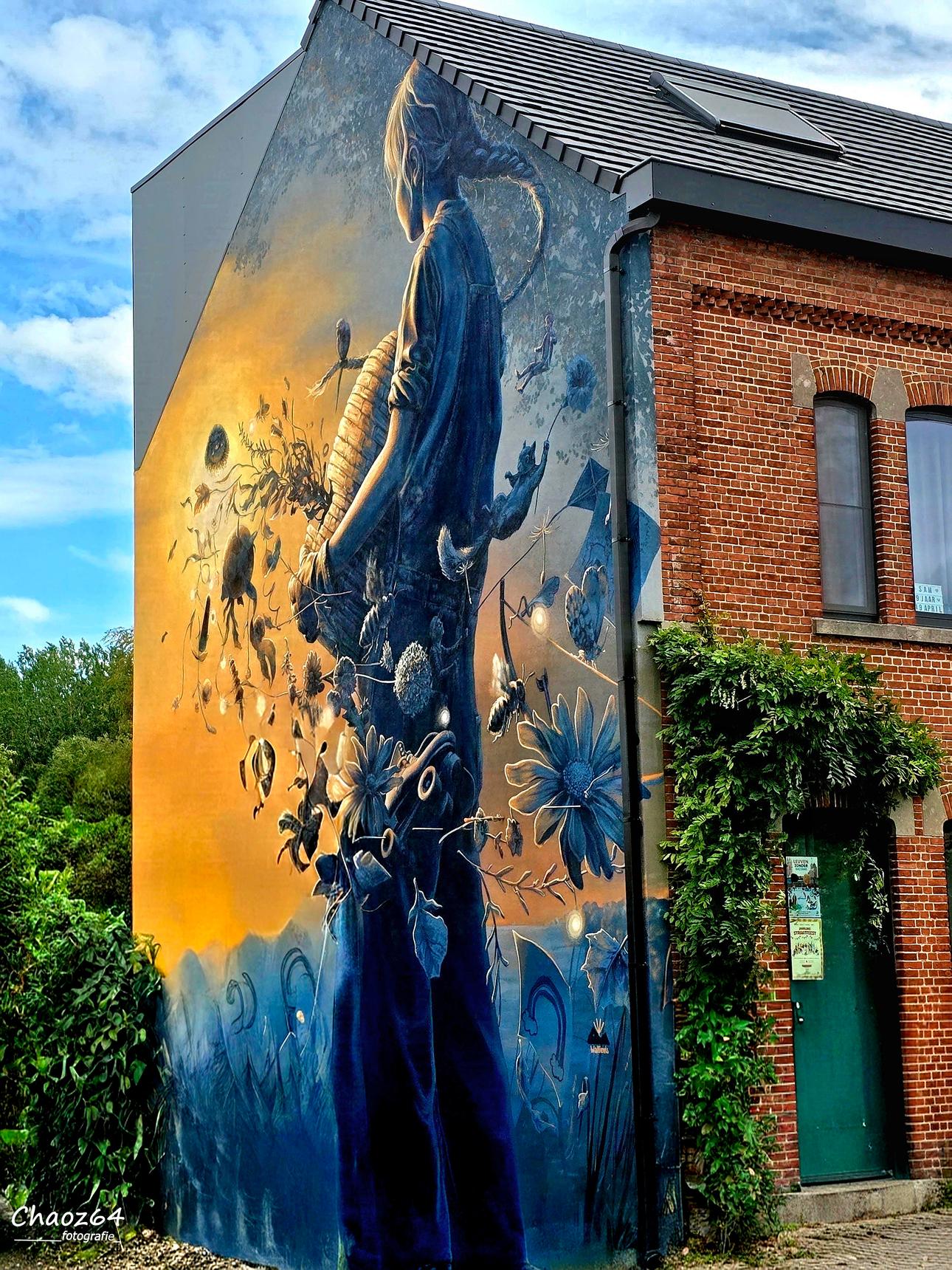 Wallievis—De Bijenkorf