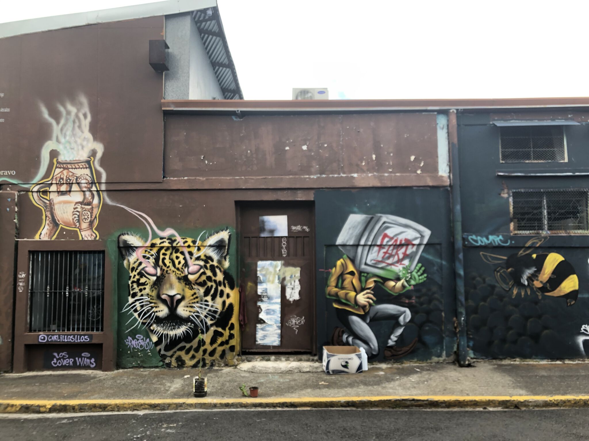 Unknown - San José&mdash;Graffitti Calle Amargura