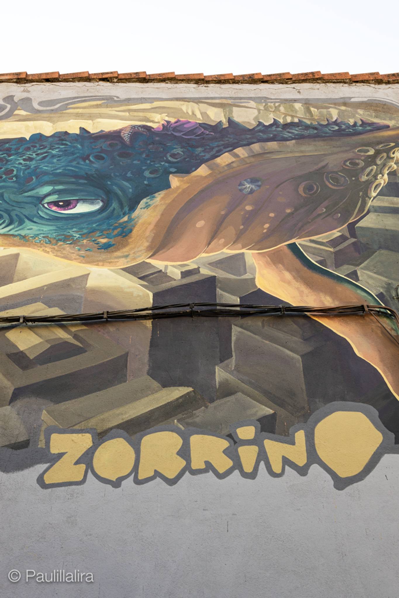 Zorro, Makinoteka&mdash;La ballena se despereza by Zorrino