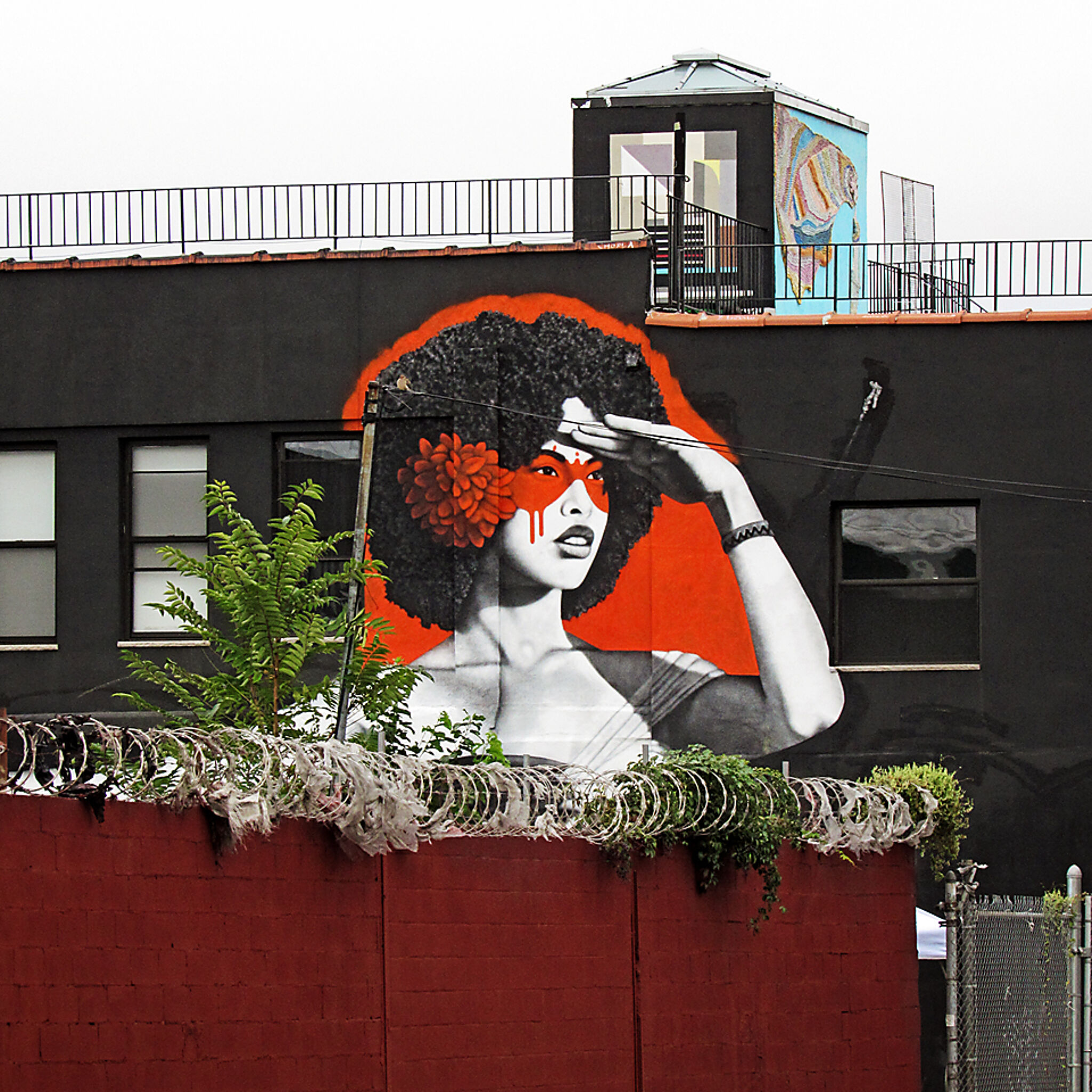 Fin DAC&mdash;The Watcher