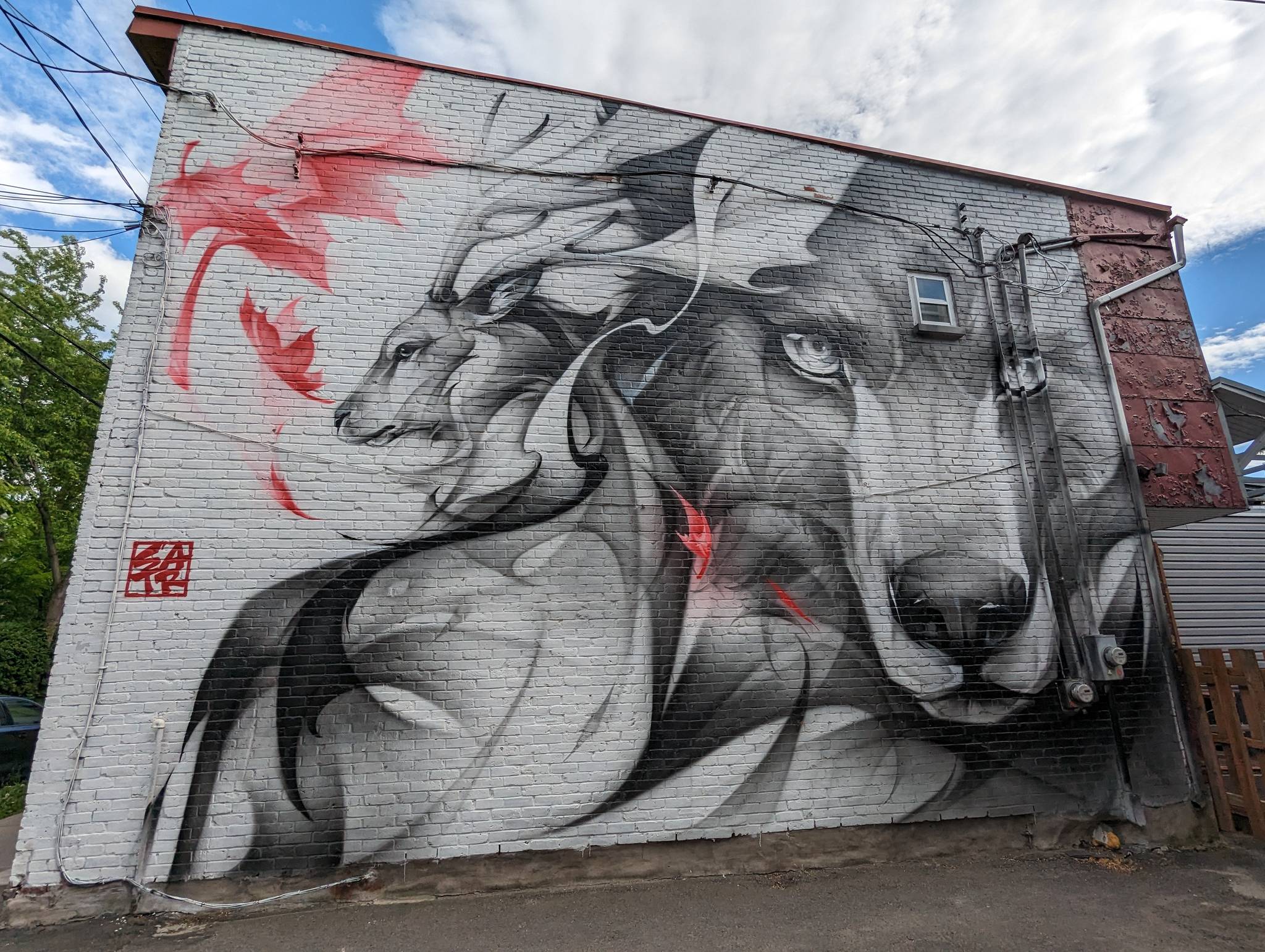 Satr, Street Art In Action&mdash;Canada