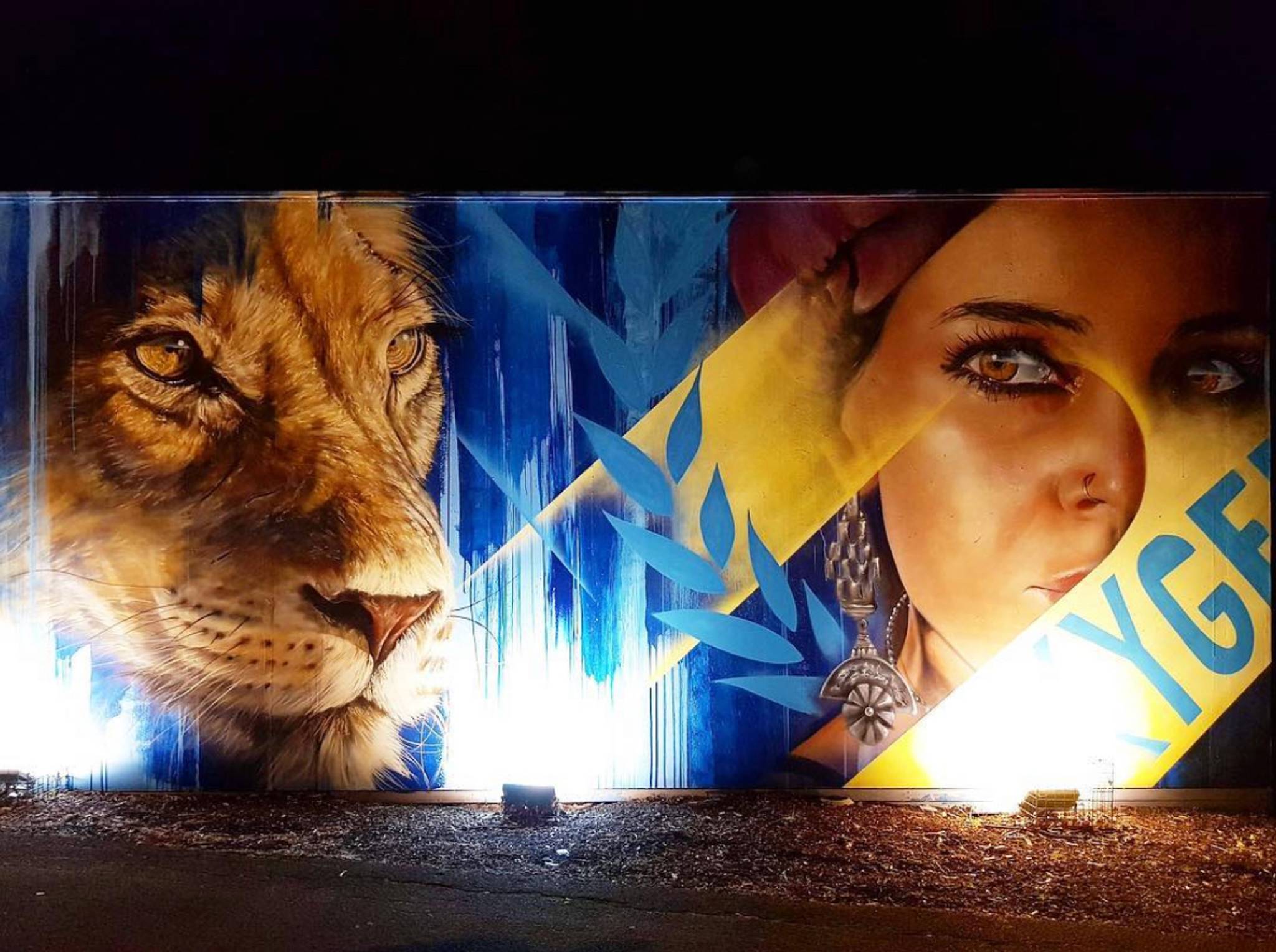 Adnate&mdash;undefined