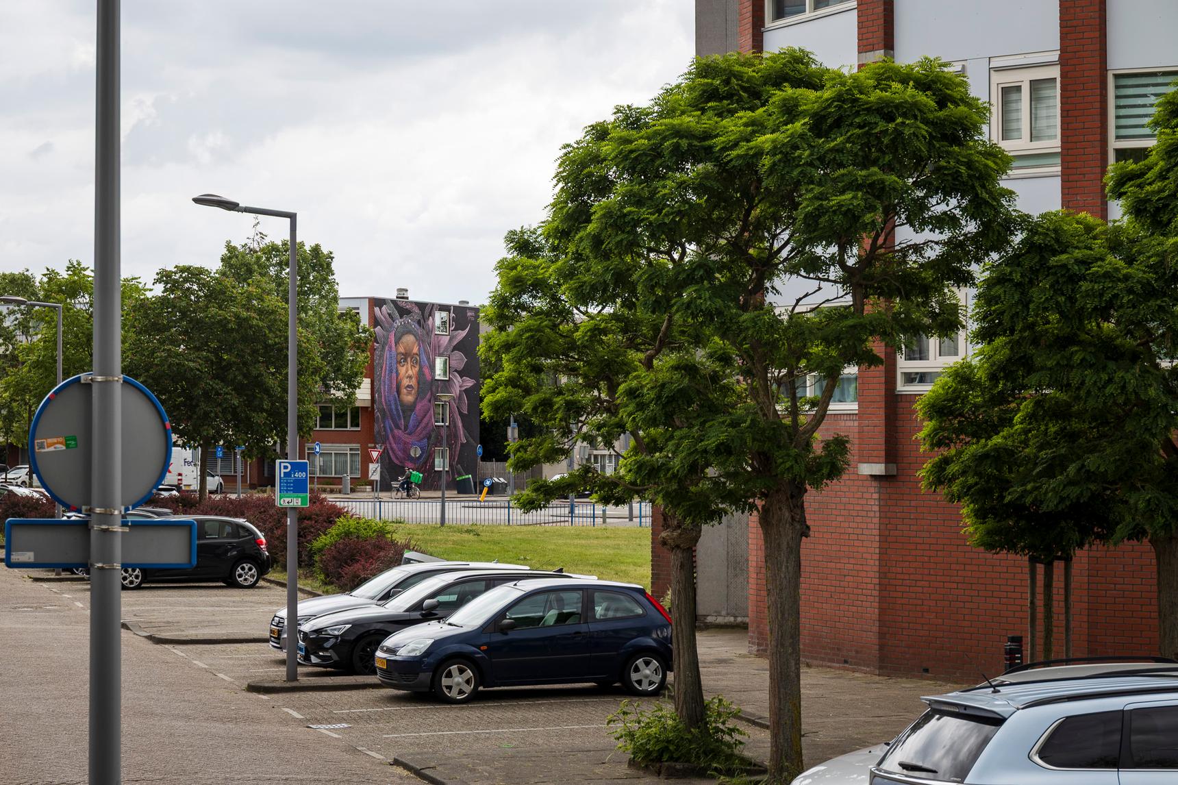 Tymon de Laat—Along the crossroads