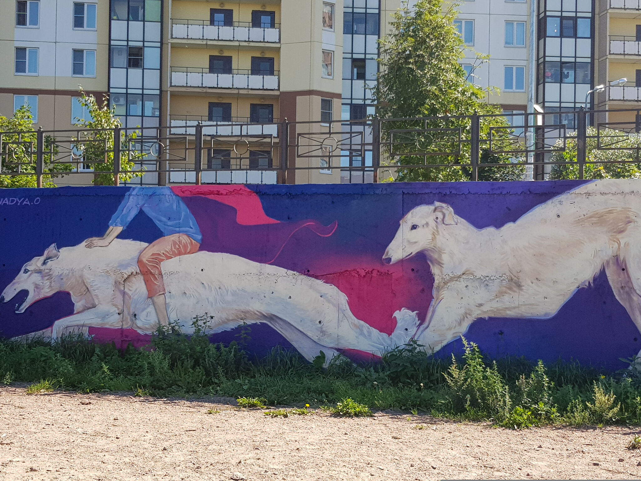 Nadezhda Opalinskaya, 7aur&mdash;Dog playground