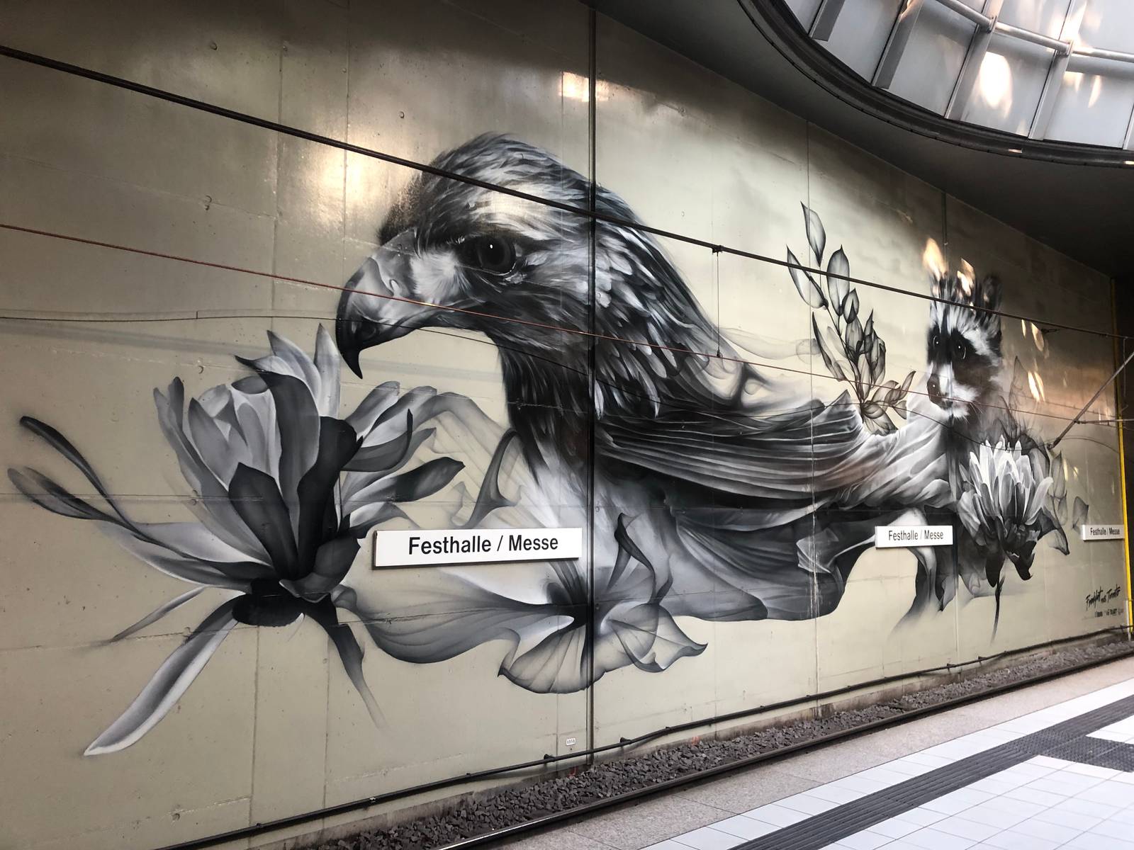 Bacon—Frankfurt-Toronto