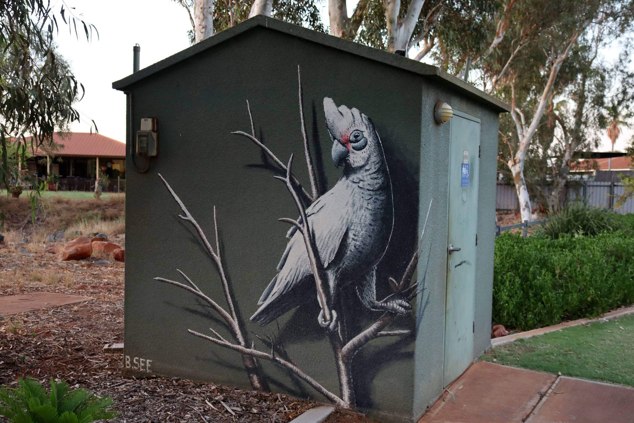 Brenton See&mdash;Little Corella