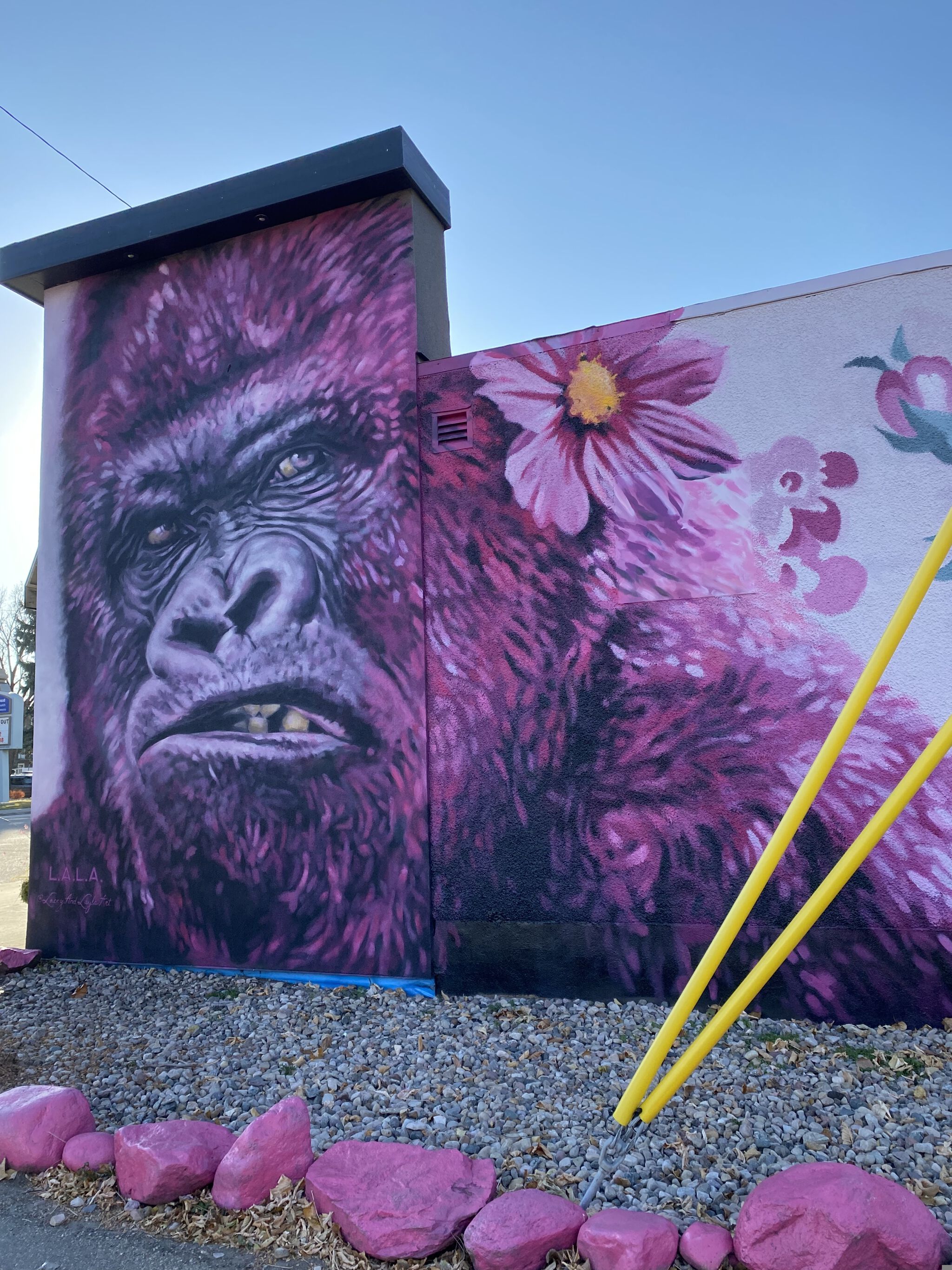 Lacey & Layla Art&mdash;Pink Gorilla