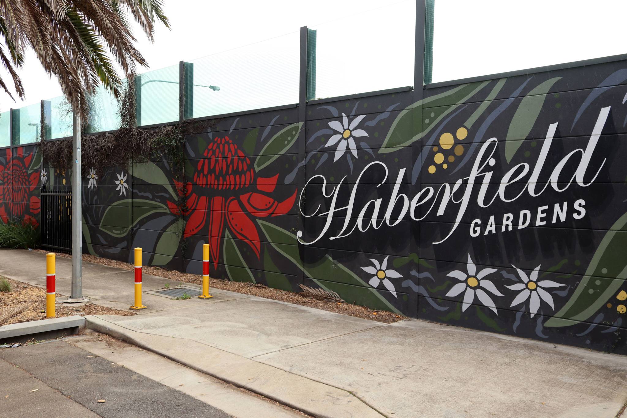 The Art of Wall, Stacey Keating&mdash;Haberfield Gardens