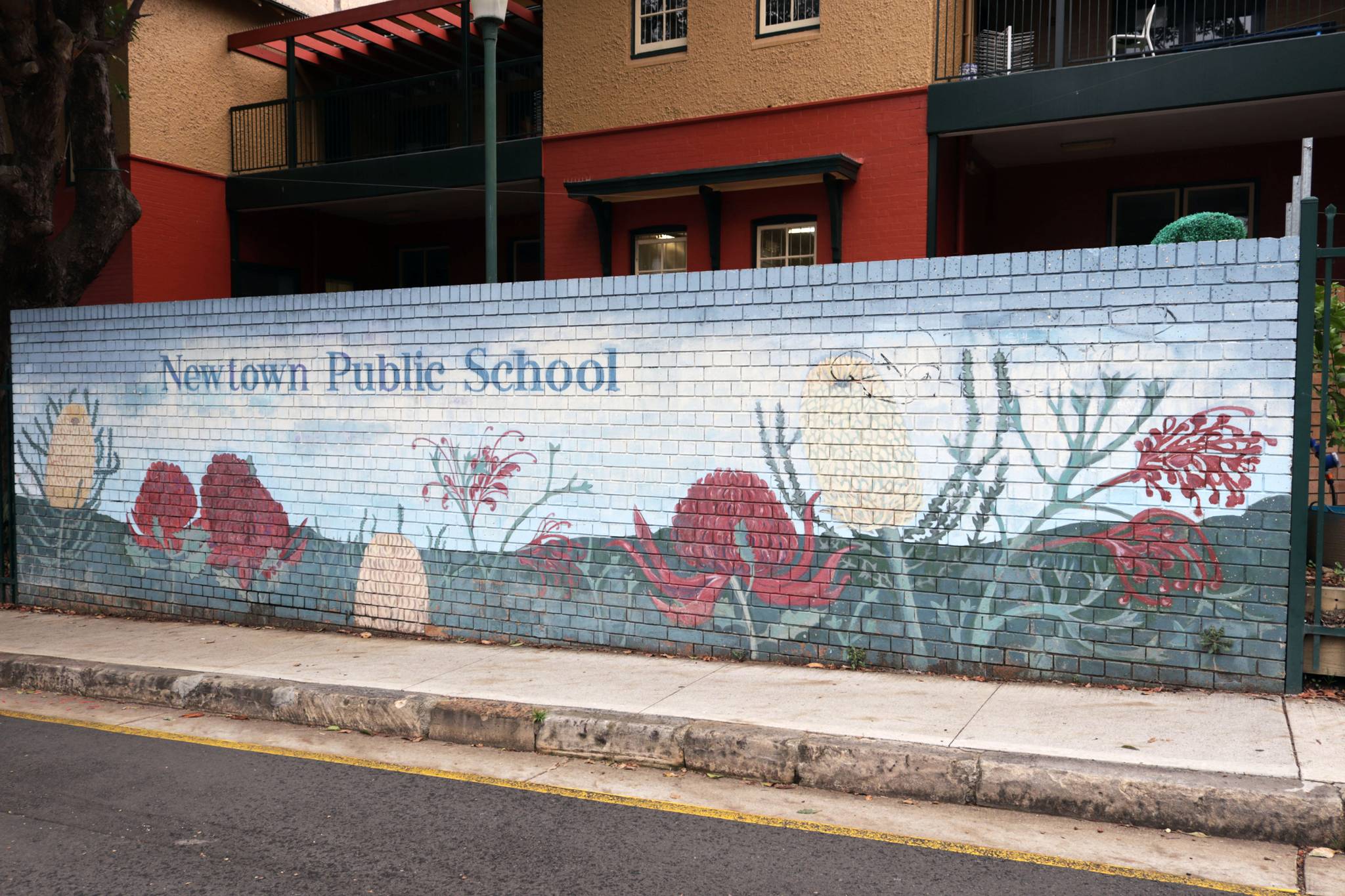 Unknown - Sydney&mdash;Newtown Public School