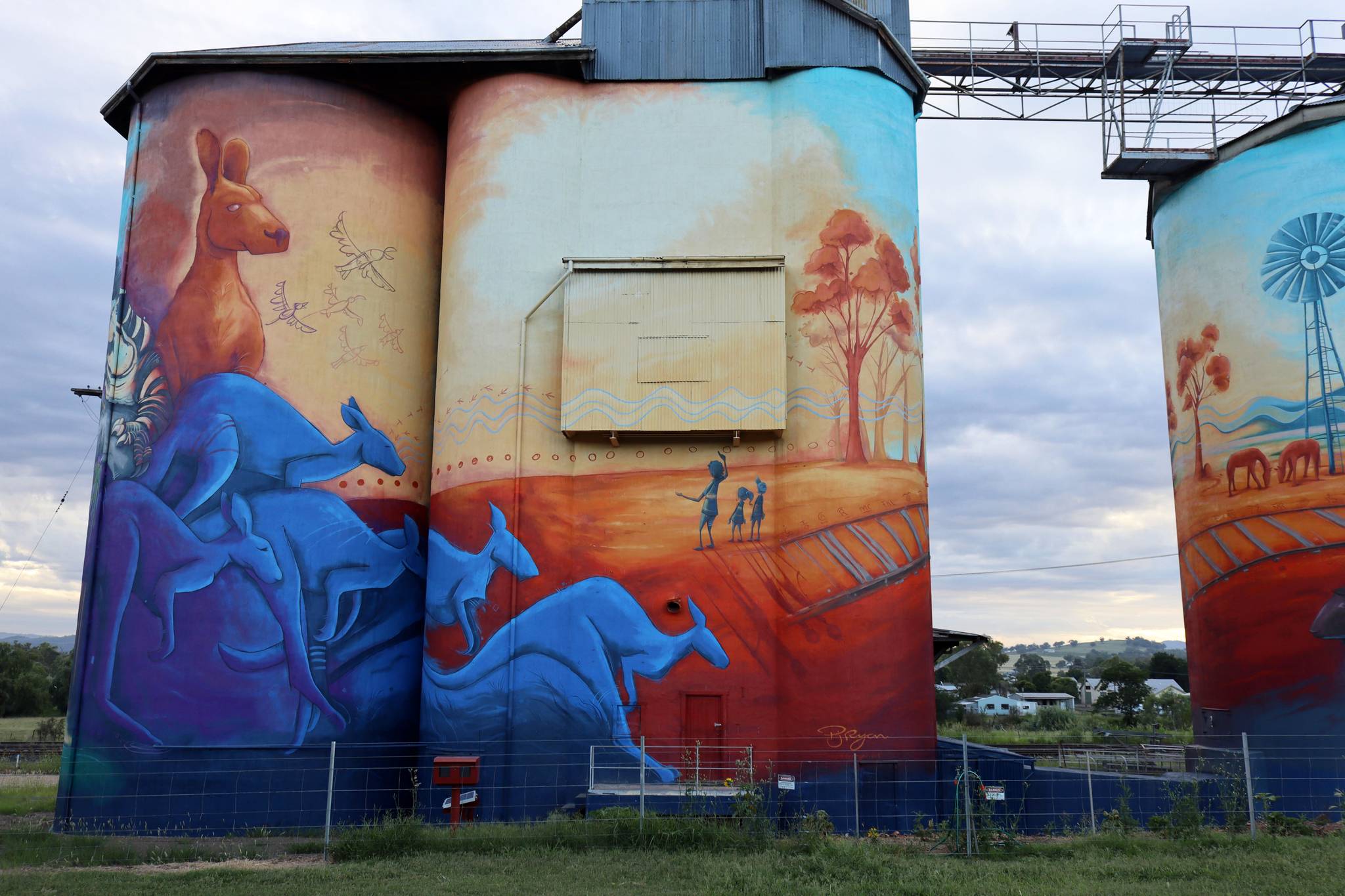 Peter Ryan&mdash;Quirindi Silo Art