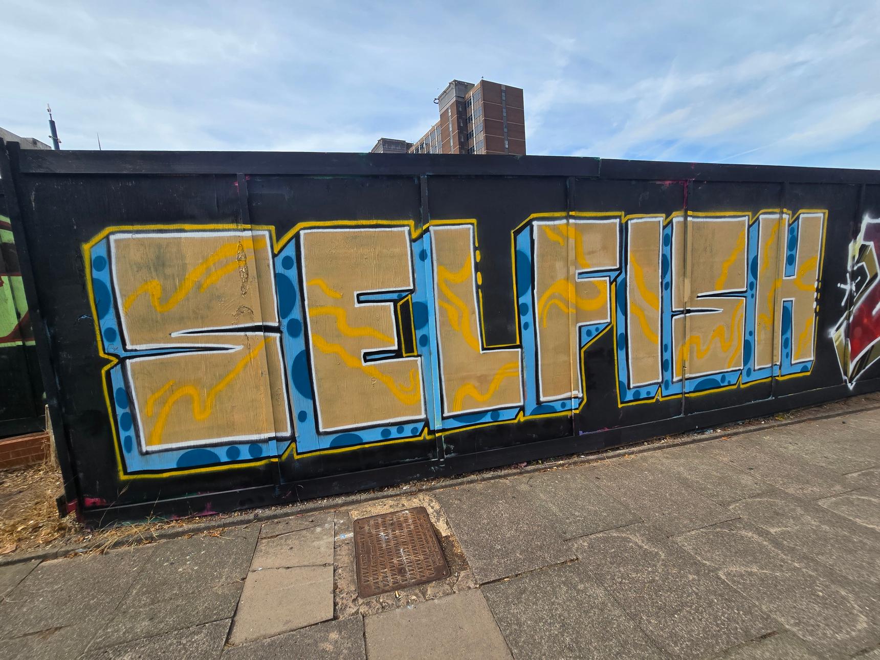 Self—Selfish