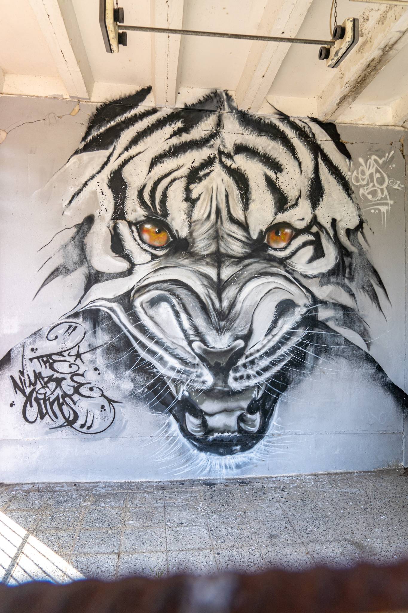 Cors One&mdash;White Tiger