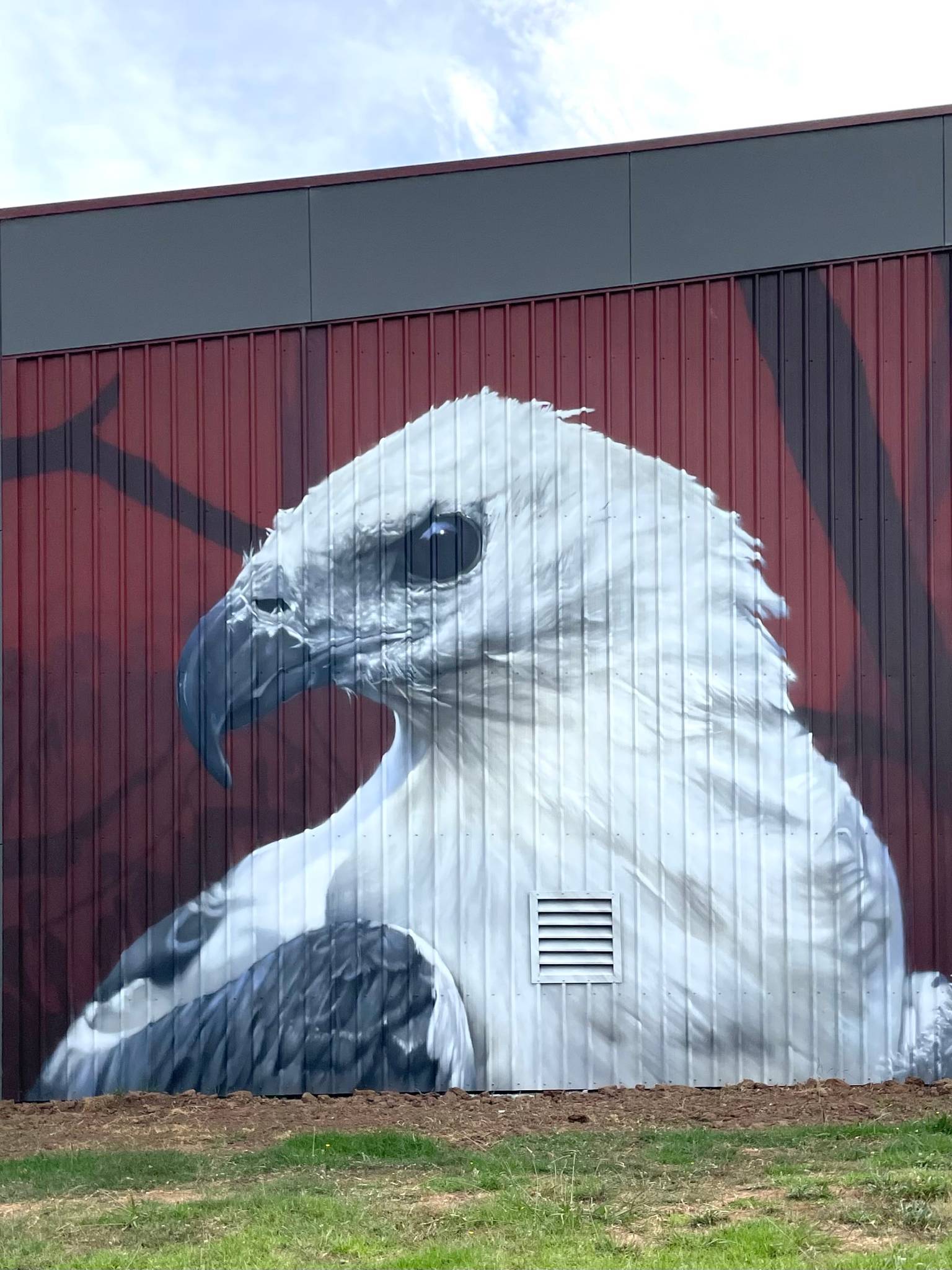 Dvate&mdash;White-bellied Sea Eagle