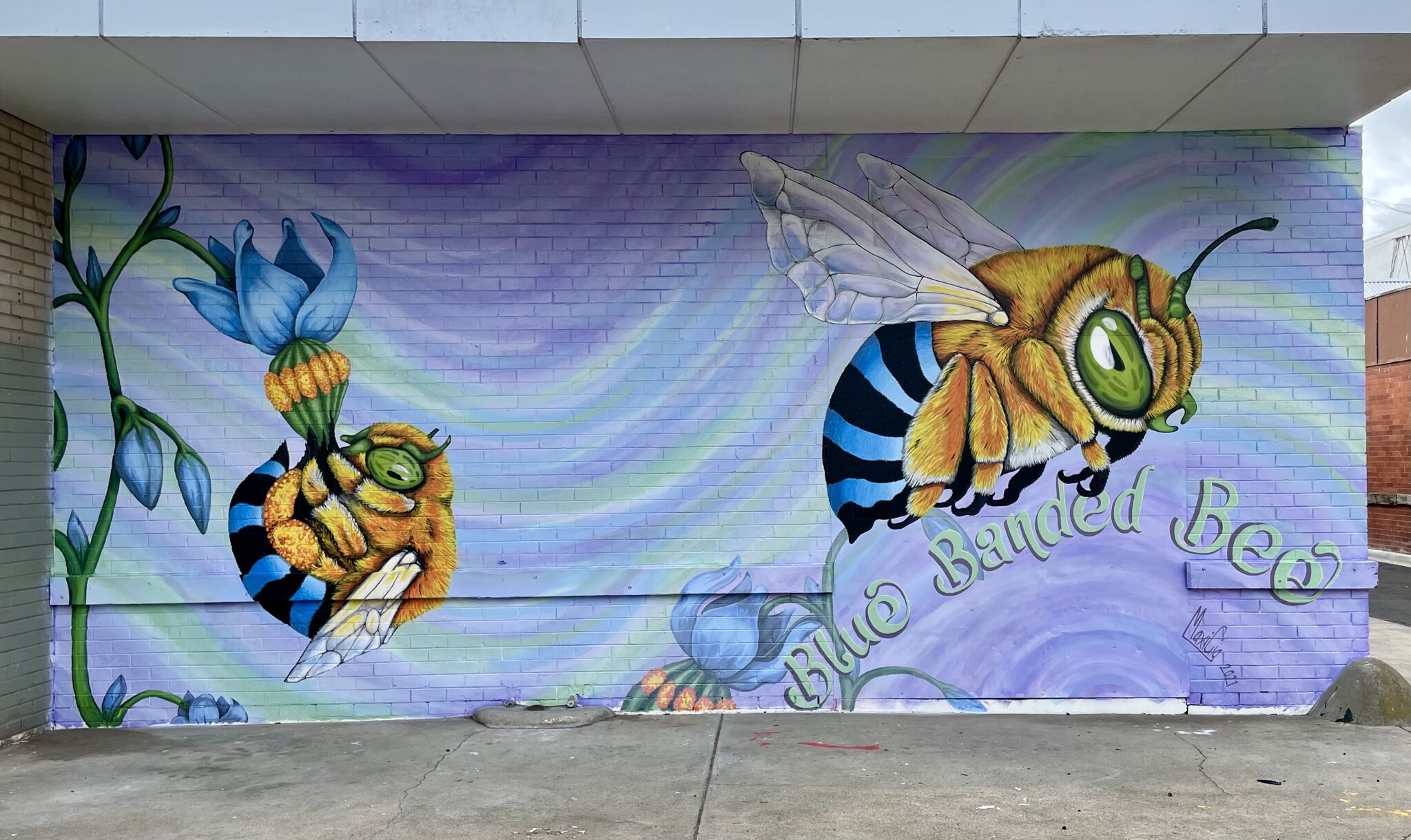 Maxine Gigliotti&mdash;Blue Banded Bee