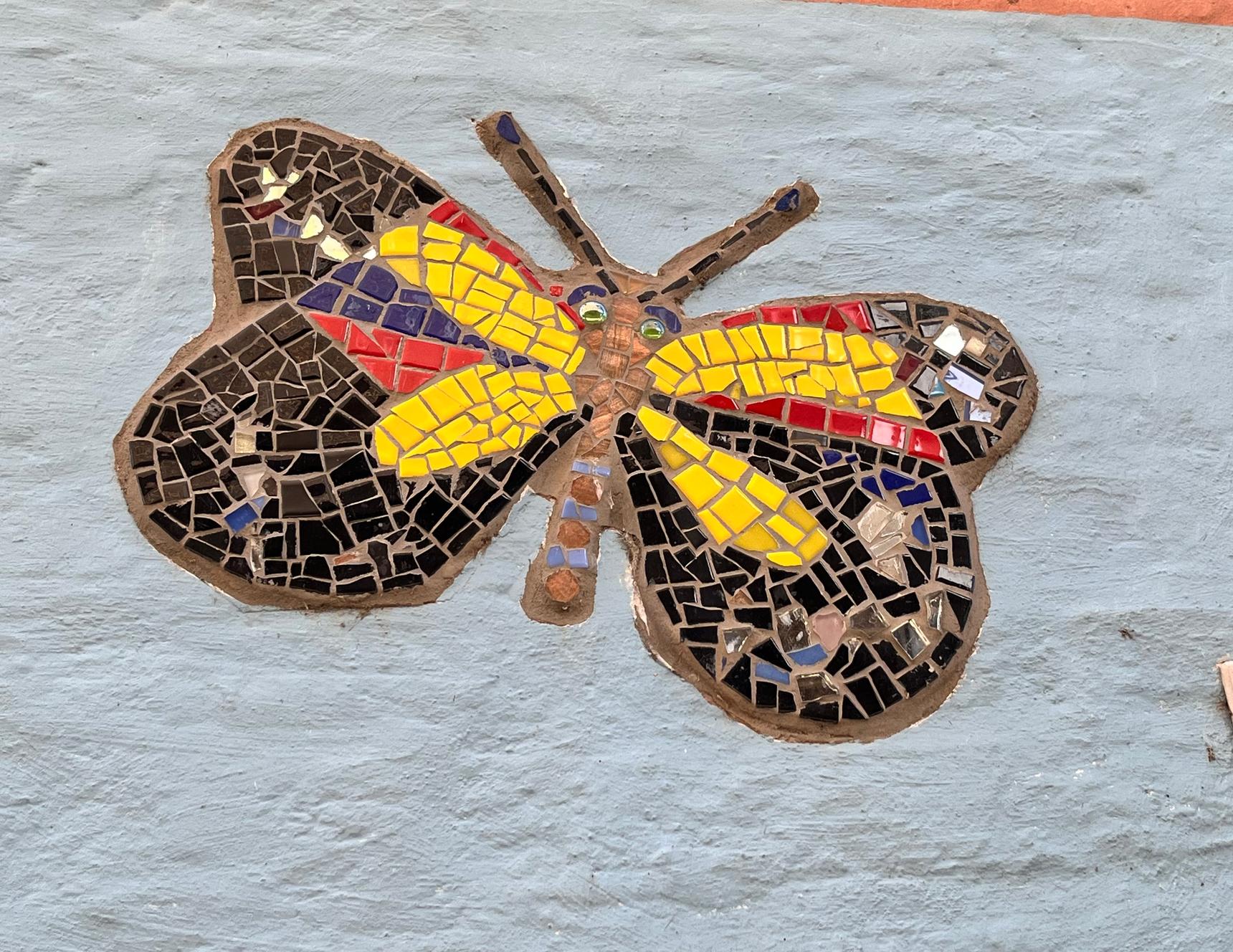 Save The World Club—Wildlife of Kingston