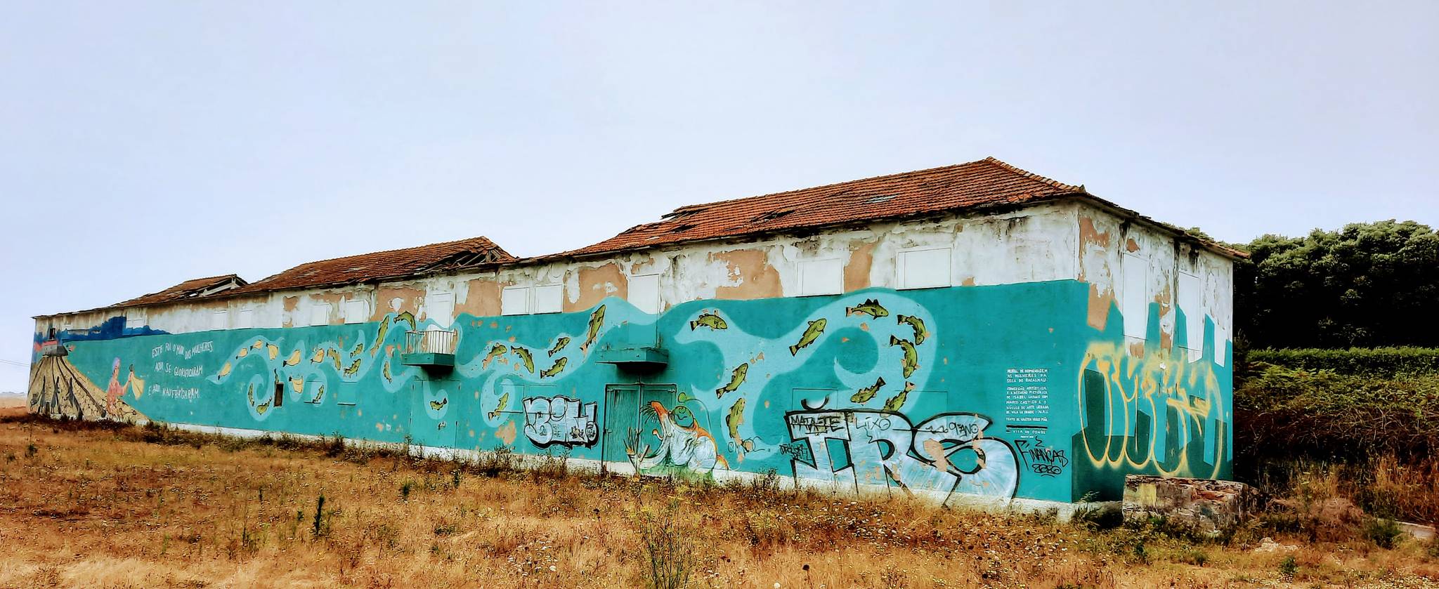 Isabel Lhano&mdash;Homenagem às Mulheres da Seca do Bacalhau