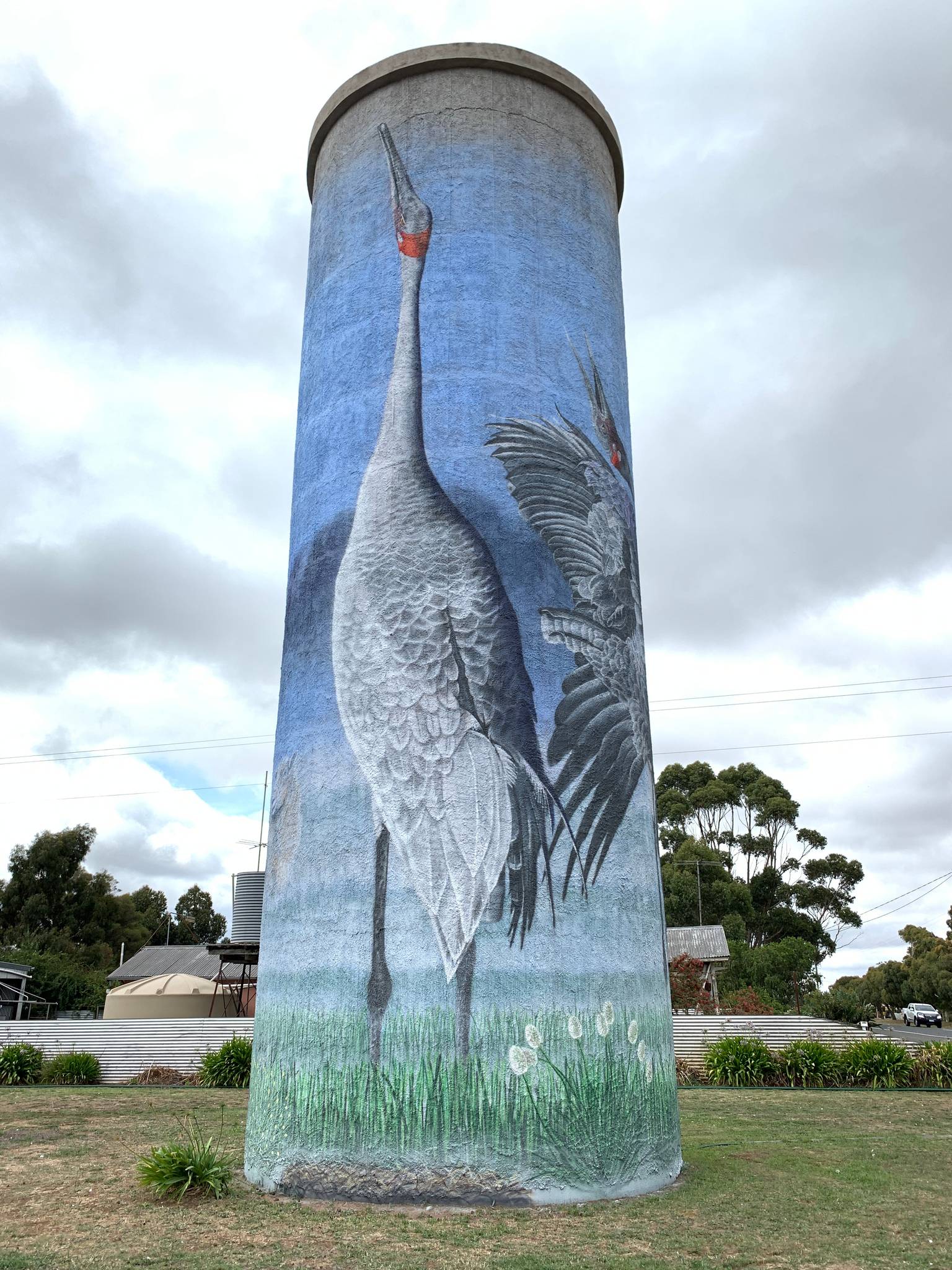 Jimmi Buscombe&mdash;Lismore Water Tower Dancing. Brolgas