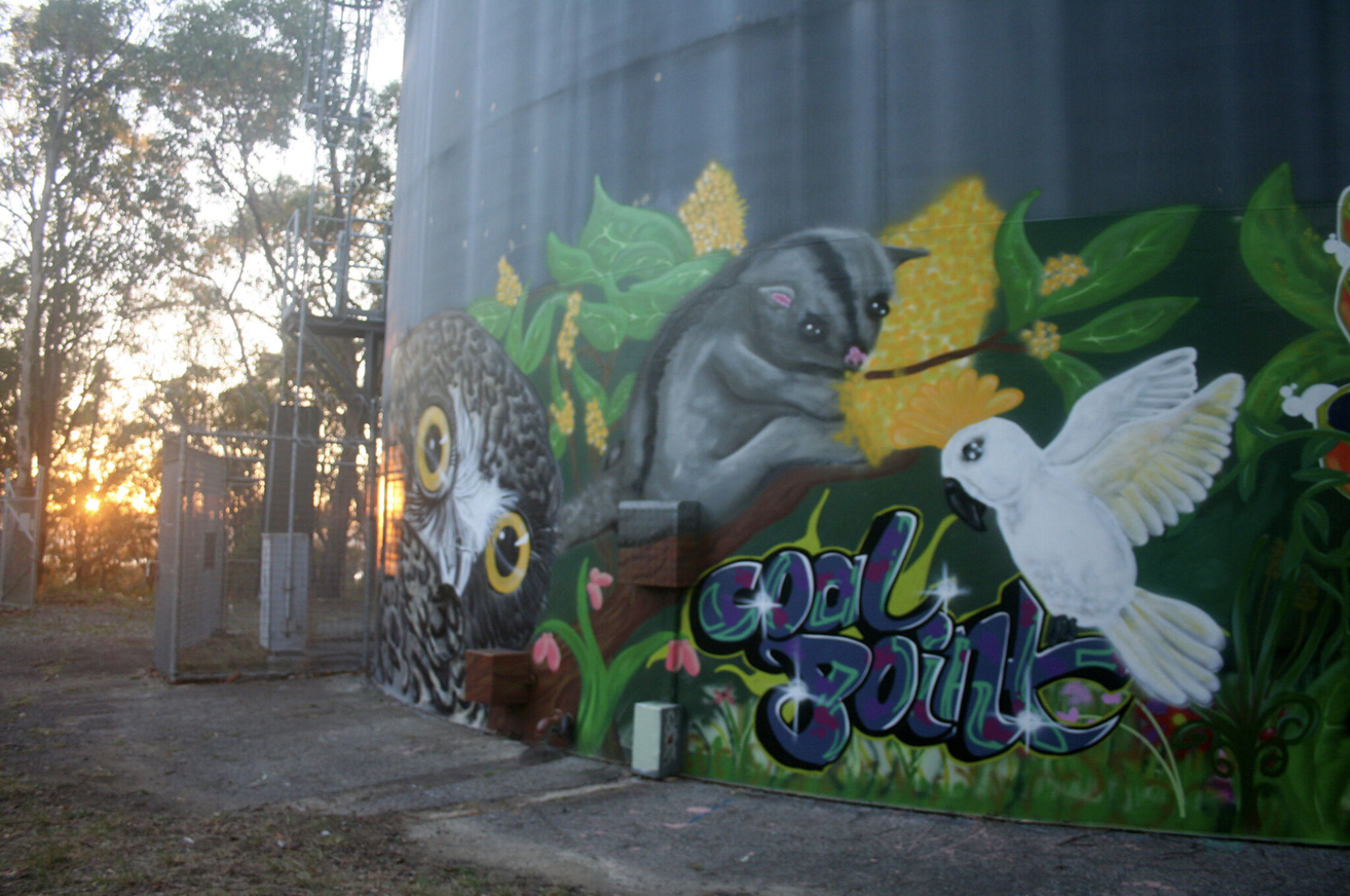 Australian Silo Art Trail, Dan Miller&mdash;Coal Point Water Tank Art