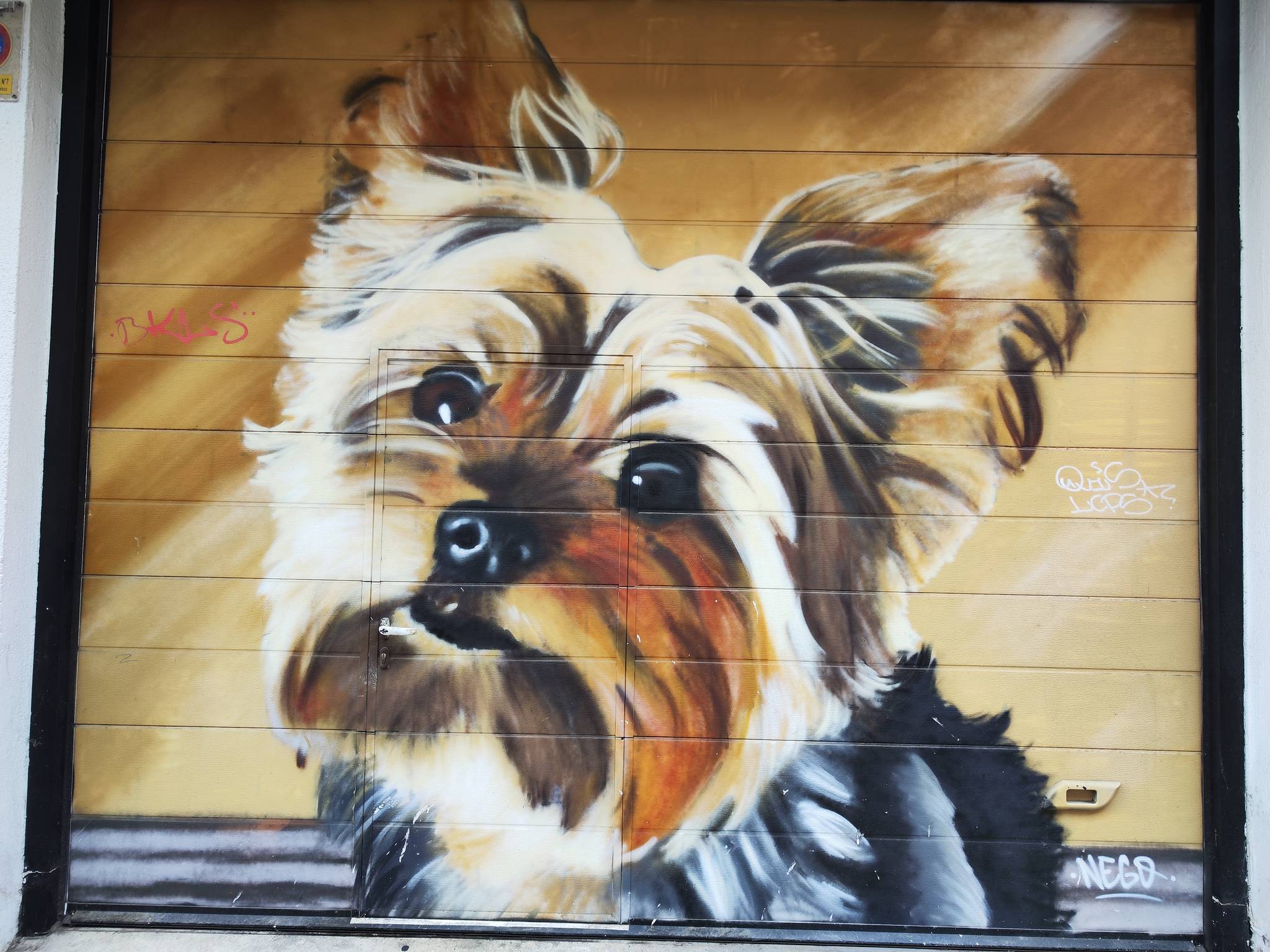 Nego Graff Art&mdash;Perrito