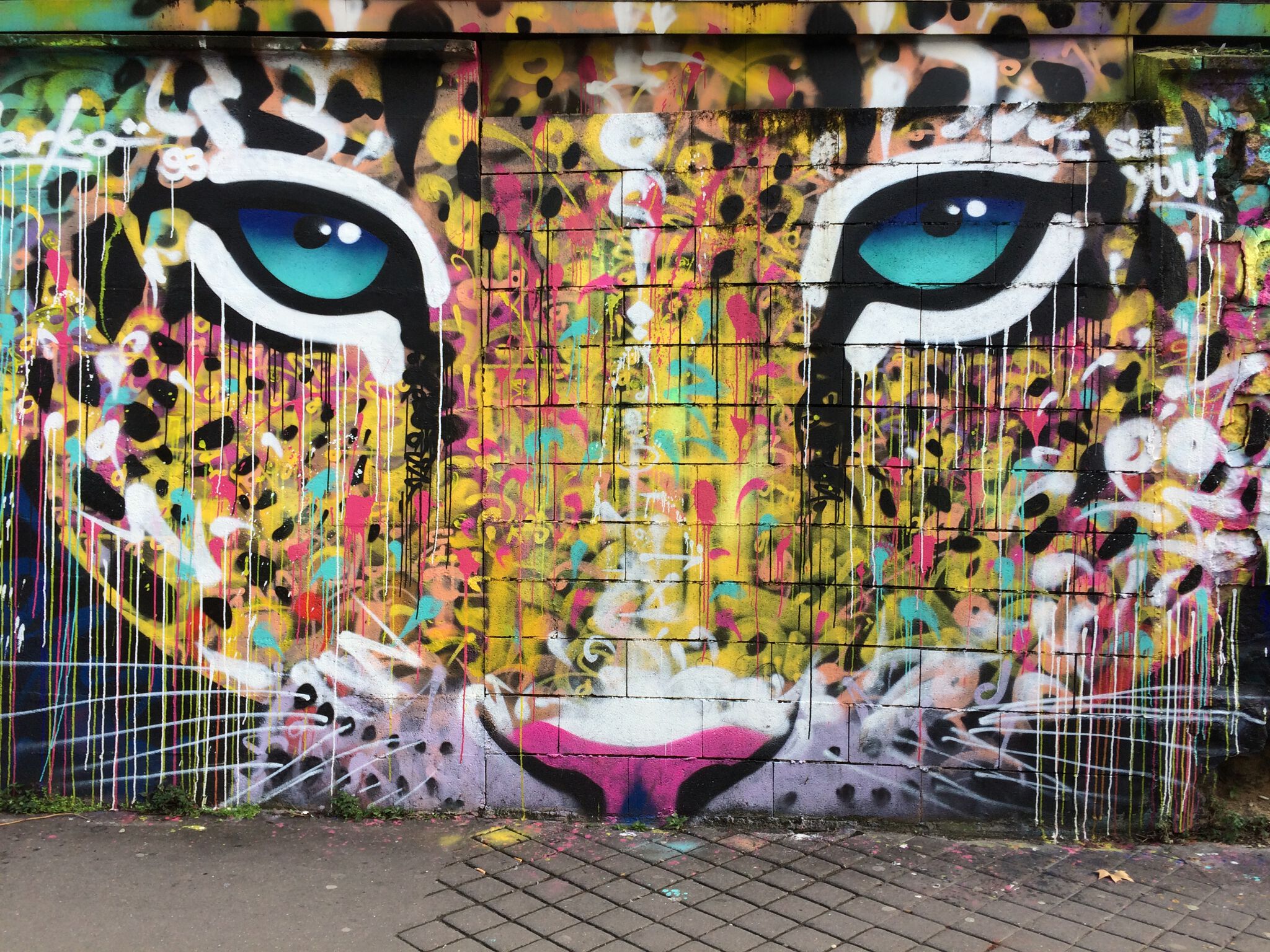 Marko93&mdash;Urban panther