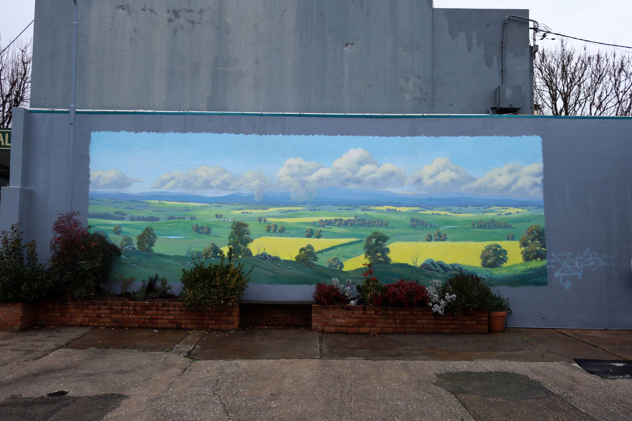 Glenn Morton&mdash;Cowra Canola Fields