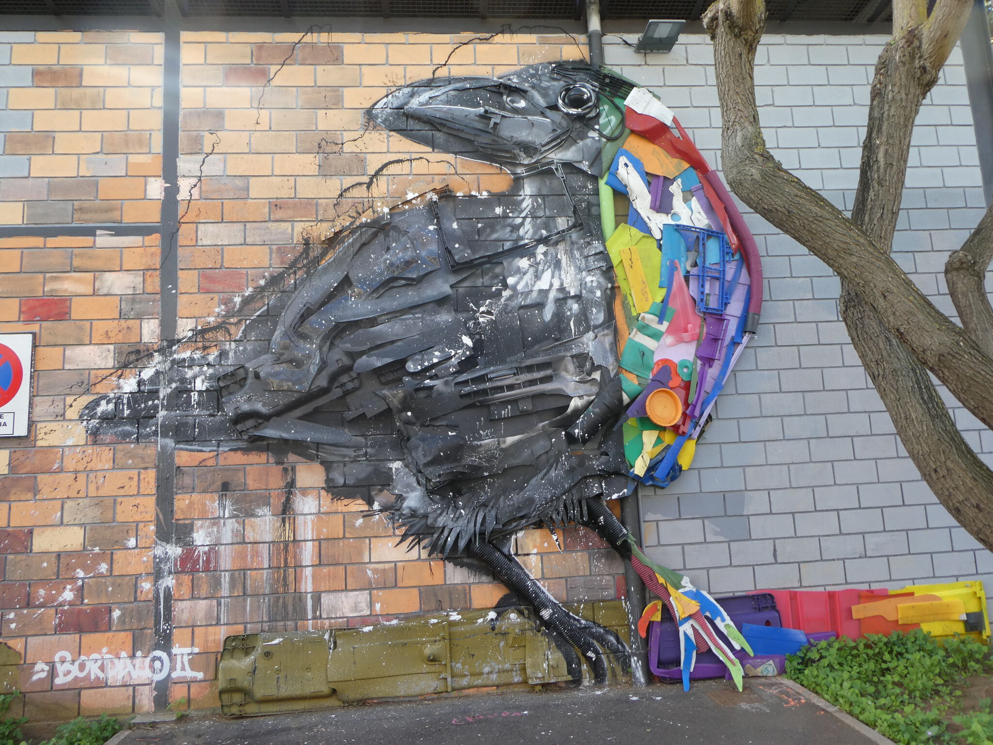 Bordalo ll&mdash;Half Cuervo Canário