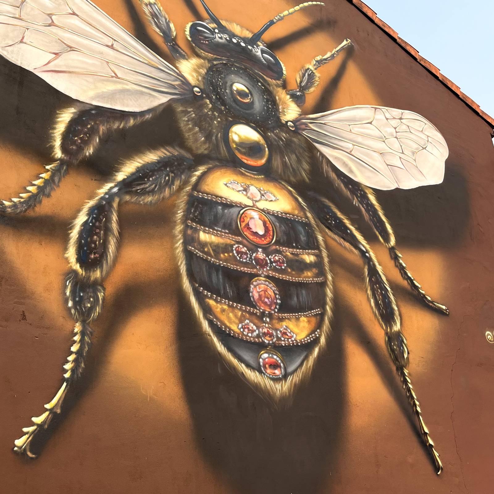 Häcko Crâne—Queen Bee