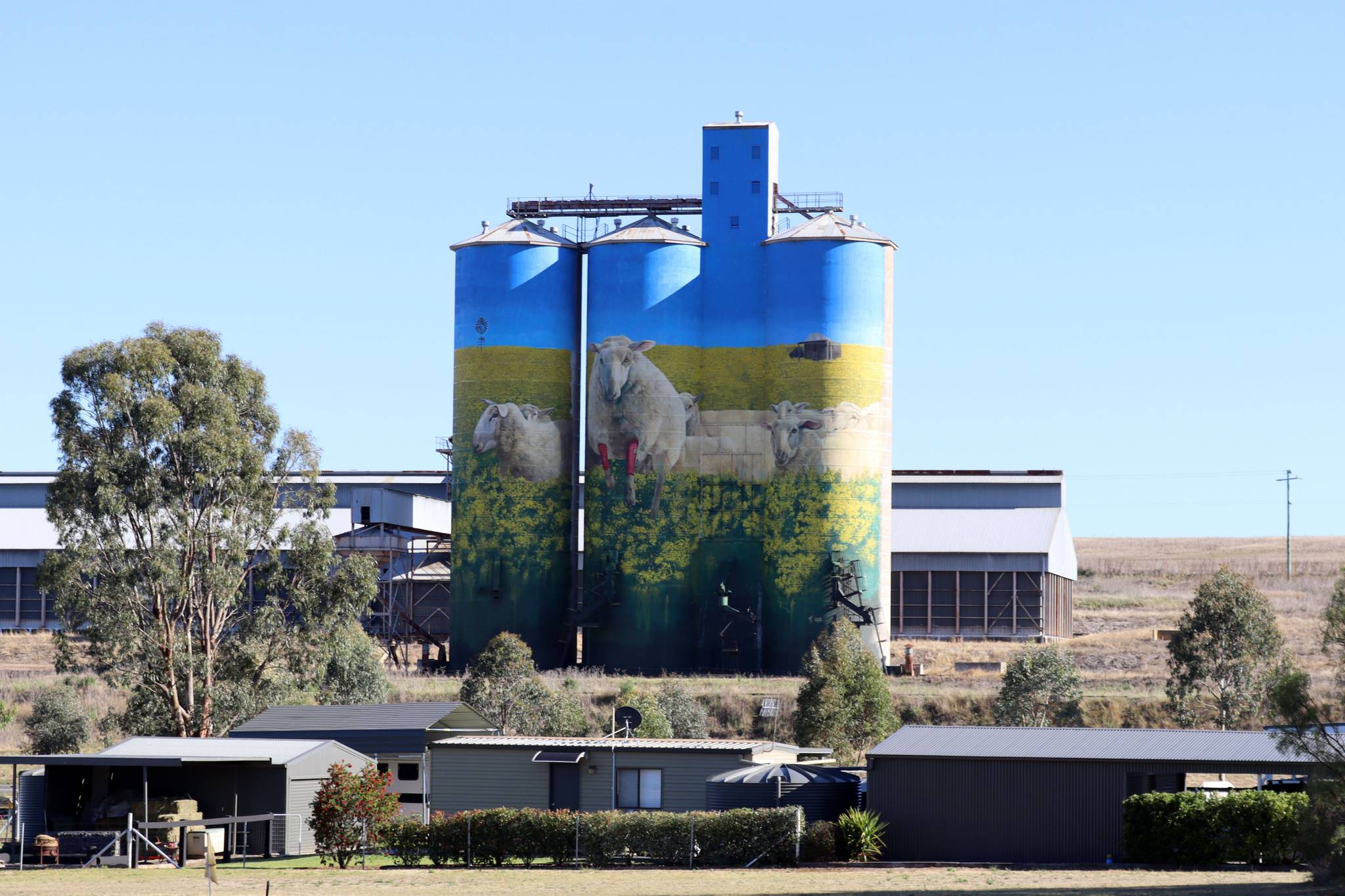 David Lee Pereira&mdash;Graincorp Merriwa Silo