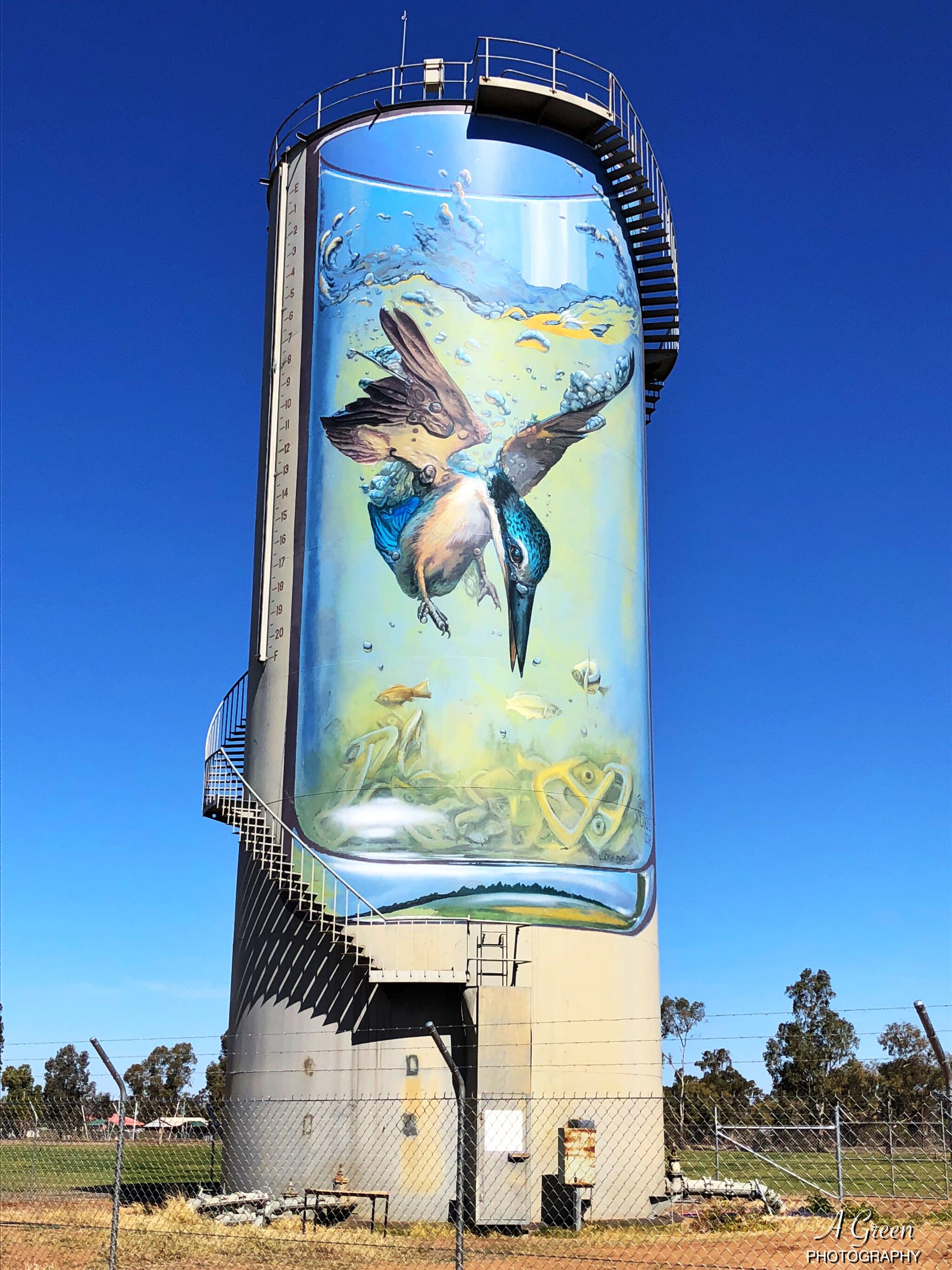 Australian Silo Art Trail, Jenny McCracken&mdash;Gulargambone Water Tower Art