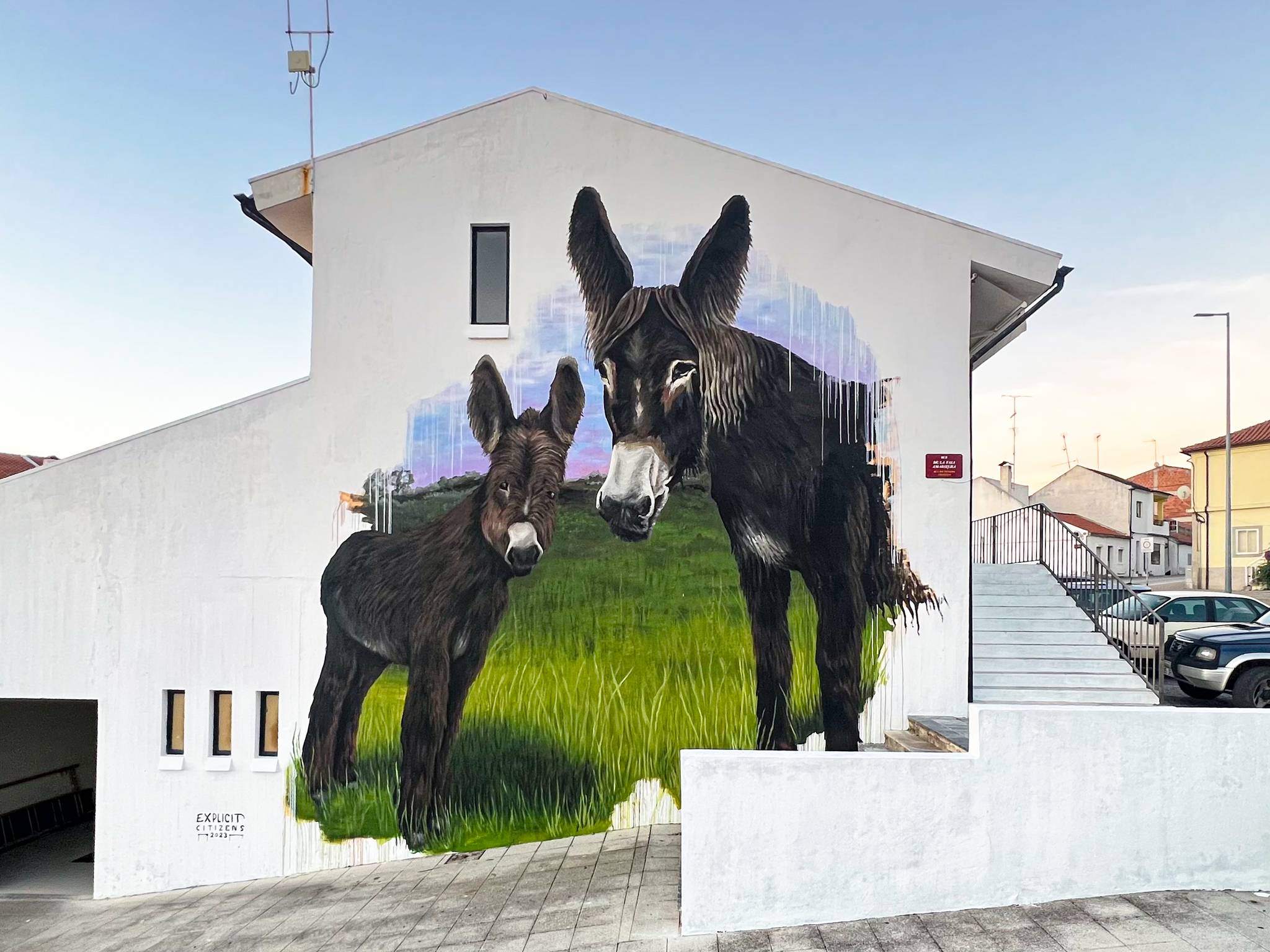 Explicit Citizens&mdash;Burros de Miranda (Miranda Donkeys)