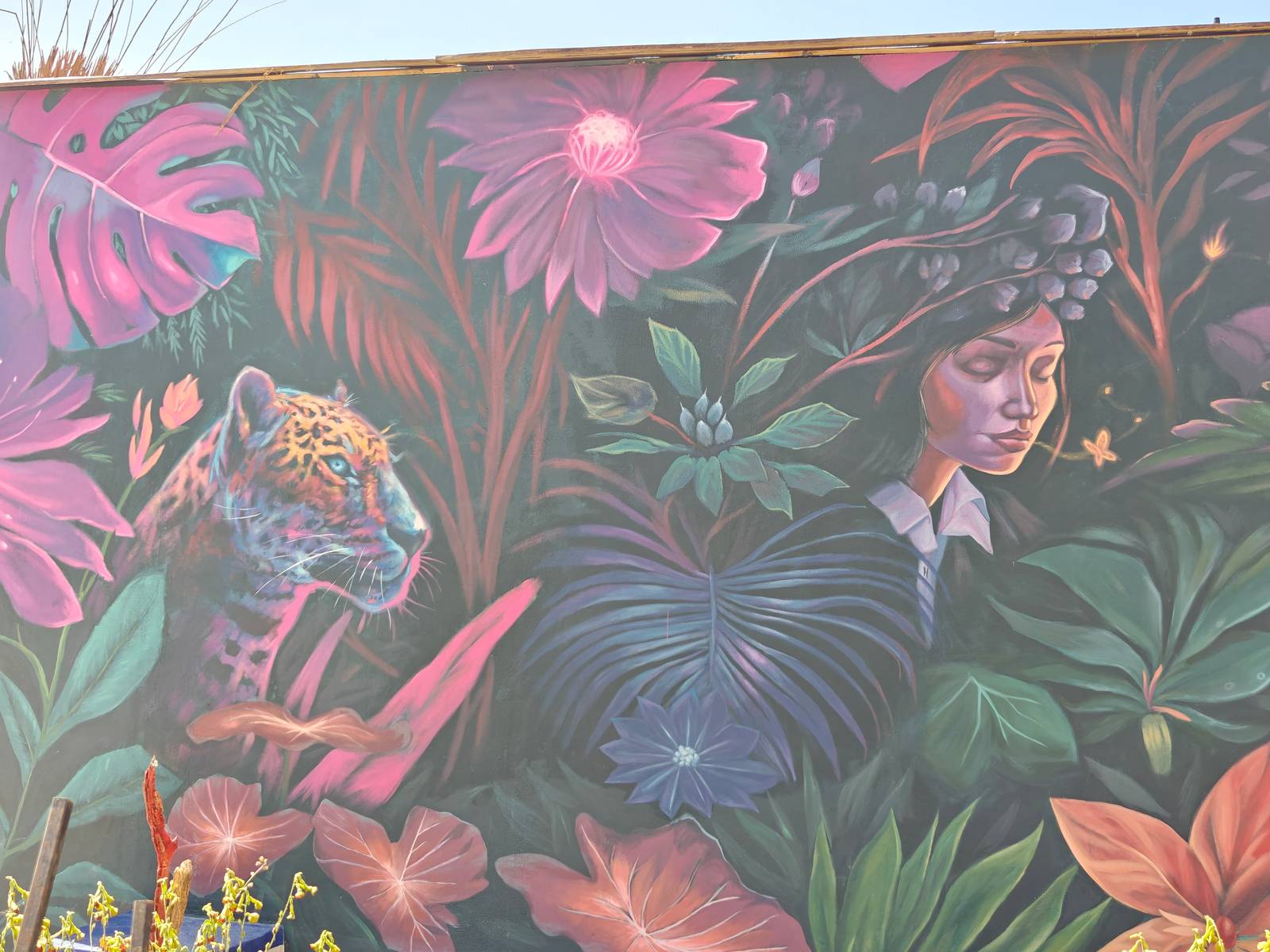 Alaniz—A jungle called life