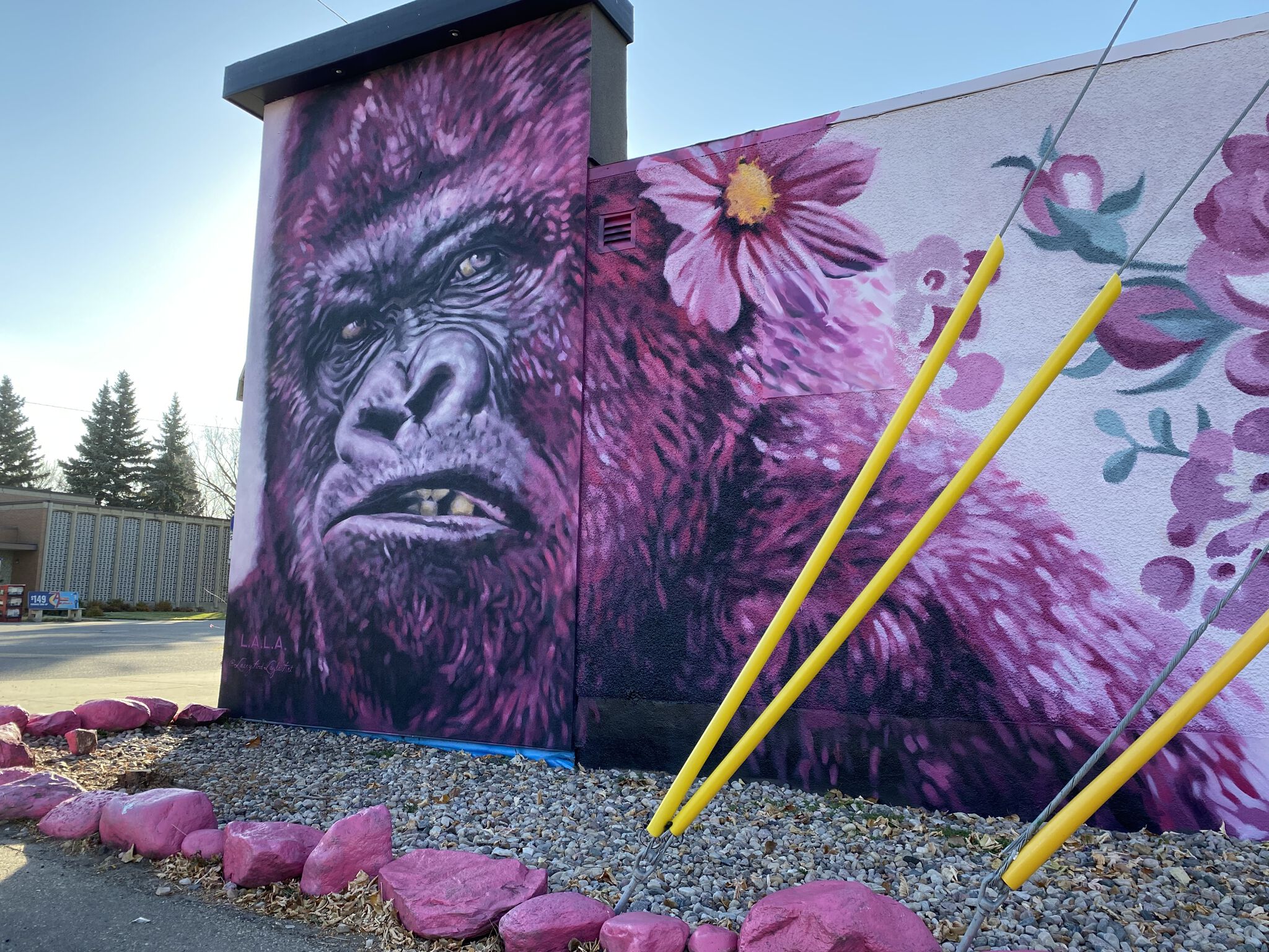 Lacey & Layla Art&mdash;Pink Gorilla