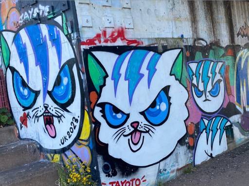Angry cats 