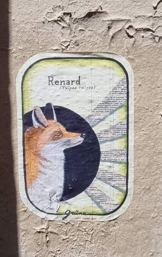 Feed item