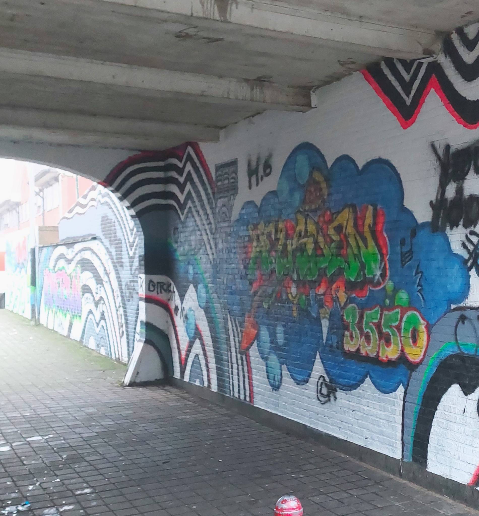 &mdash;Graffitiproject Onder de Poort