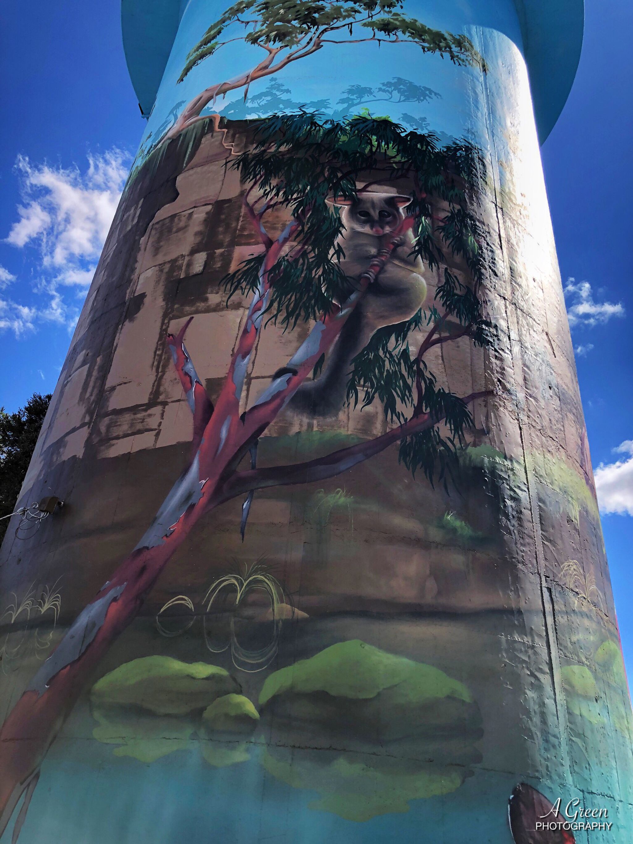 Australian Silo Art Trail, Scott Nagy, Krimsone&mdash;Lockhart Water Tower