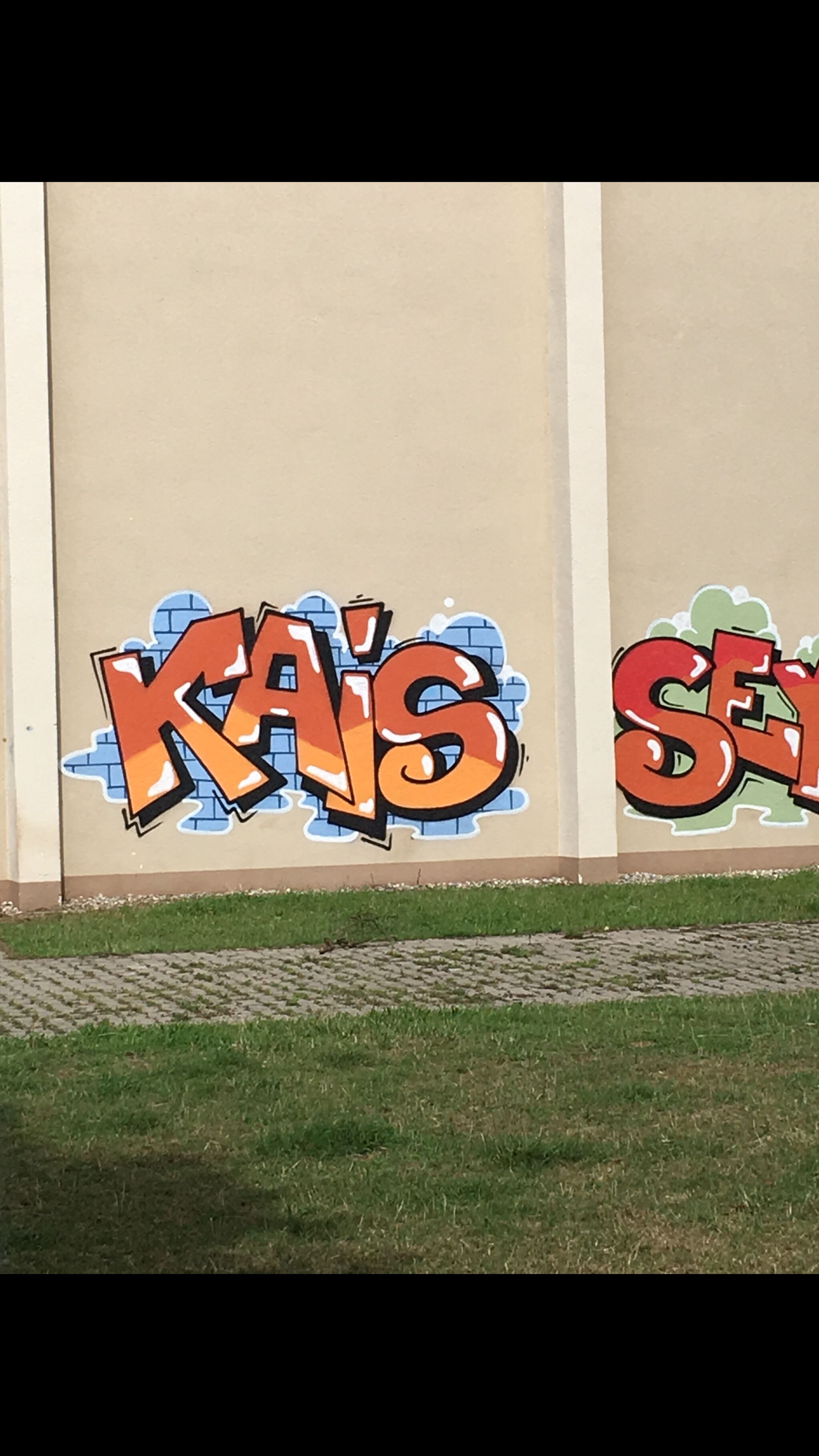 Unknown - Mannheim&mdash;Crazy and beautiful tags